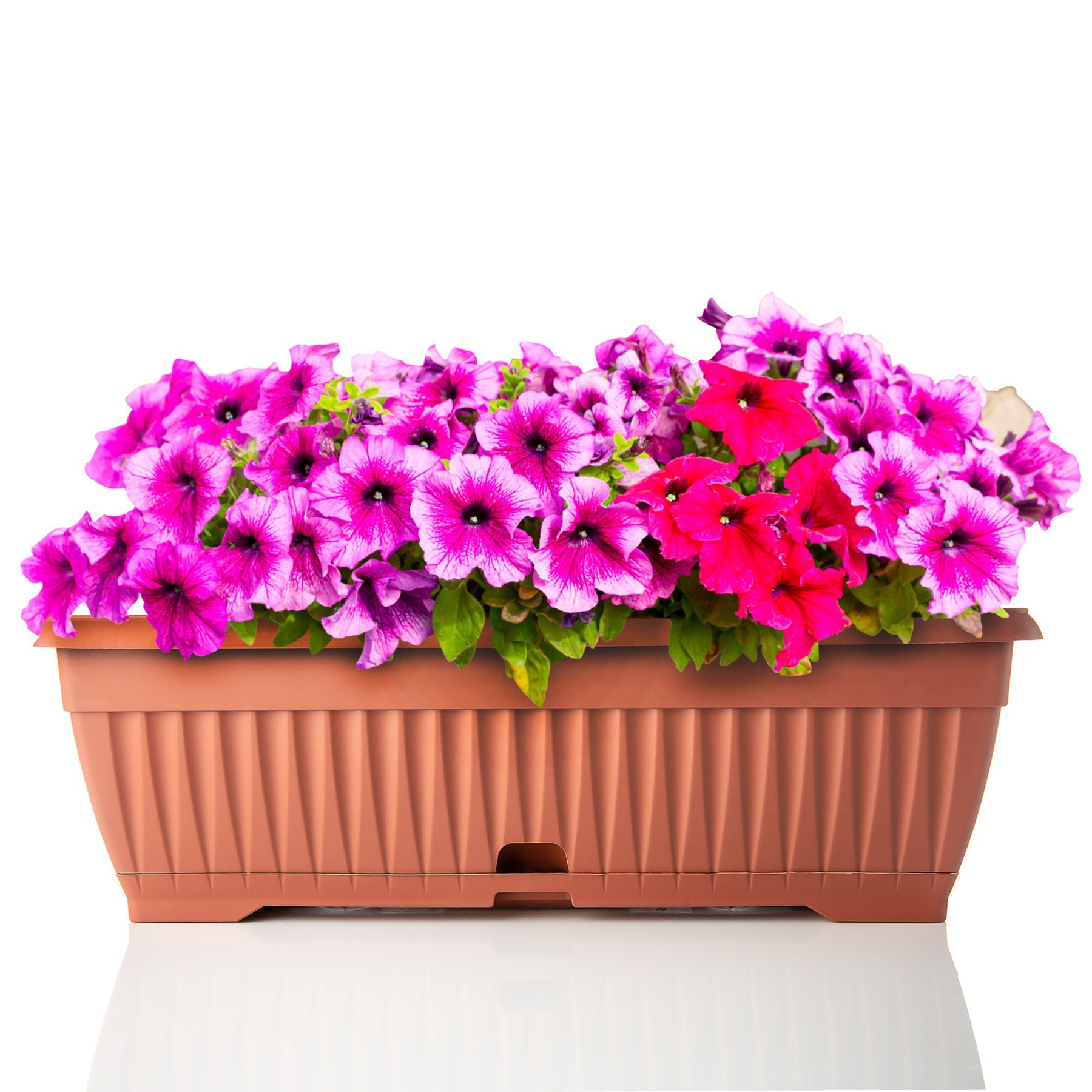 BigDean Blumenkasten Blumenkasten 50 cm mit günstig online kaufen
