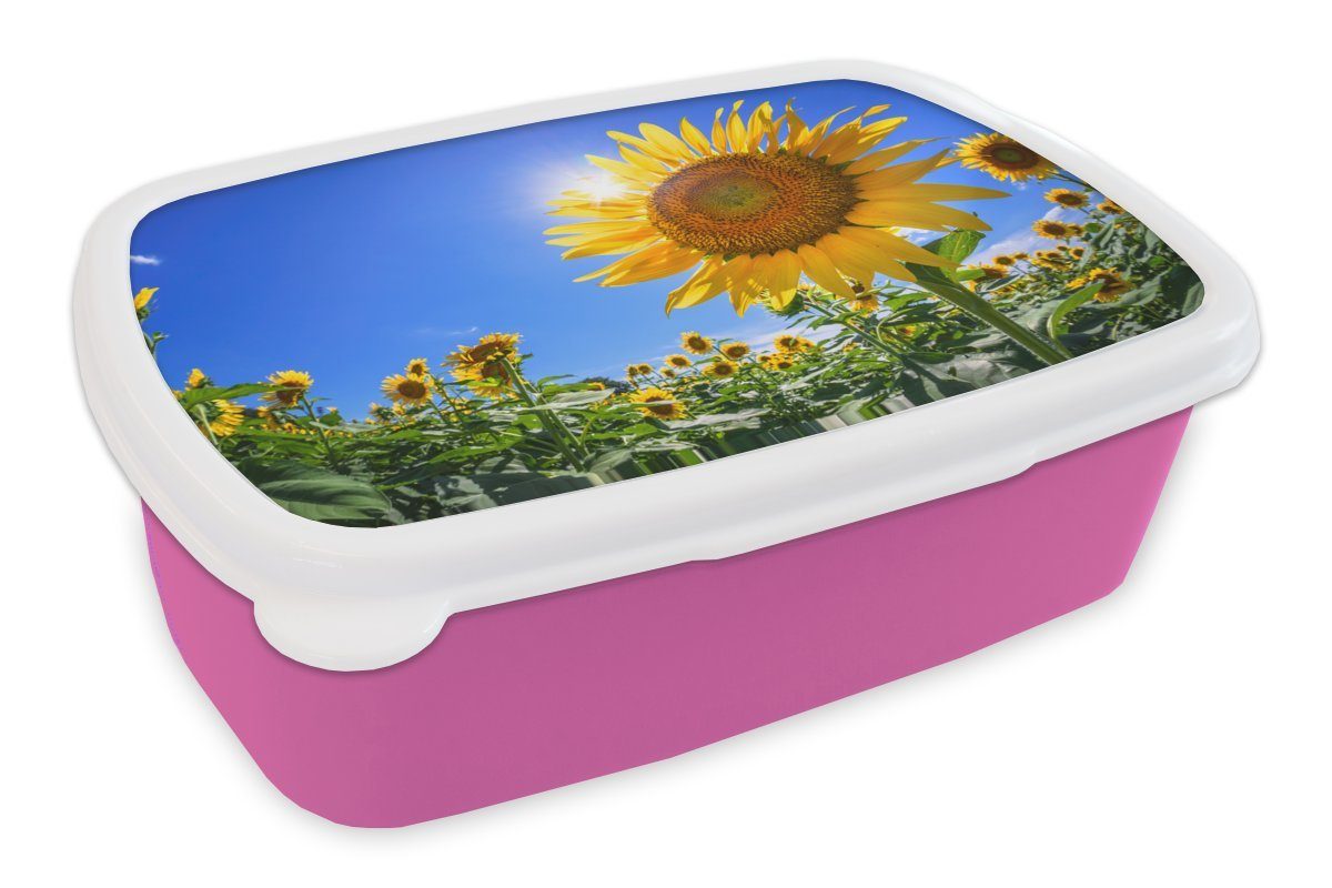 MuchoWow Lunchbox Sonnenblumenfeld von unten gesehen, Kunststoff, (2-tlg), Brotbox für Erwachsene, Brotdose Kinder, Snackbox, Mädchen, Kunststoff rosa