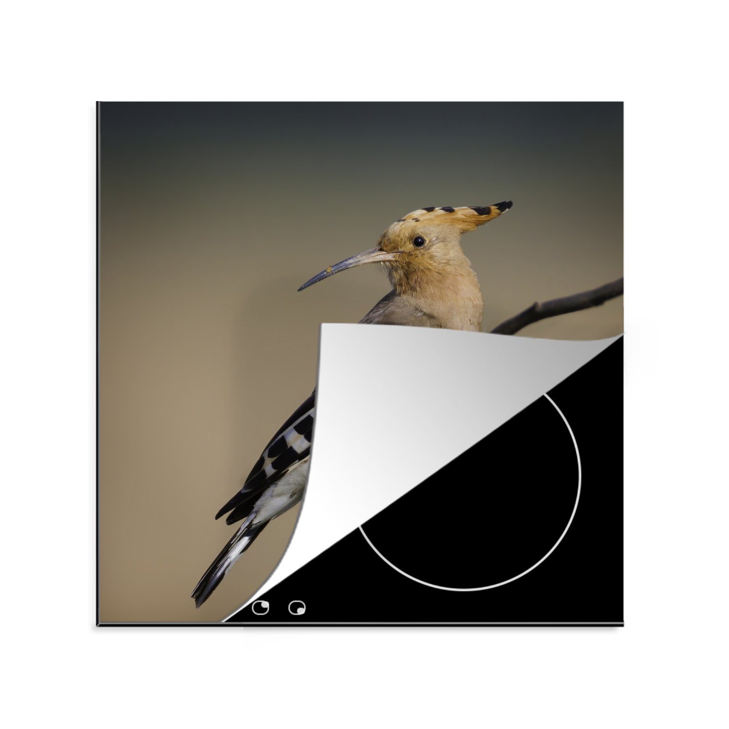 MuchoWow Herdblende-/Abdeckplatte Vogel - Tropisch - Natur, Vinyl, (1 tlg), 78x78 cm, Ceranfeldabdeckung, Arbeitsplatte für küche