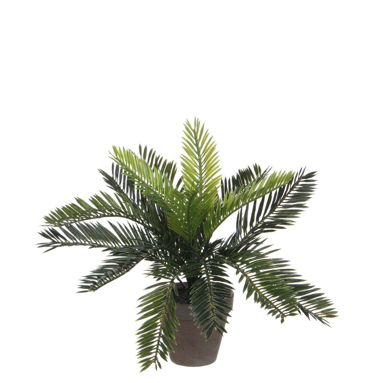 Kunstpflanze Mica Cycas Palme grün im Topf 33 x 34 cm