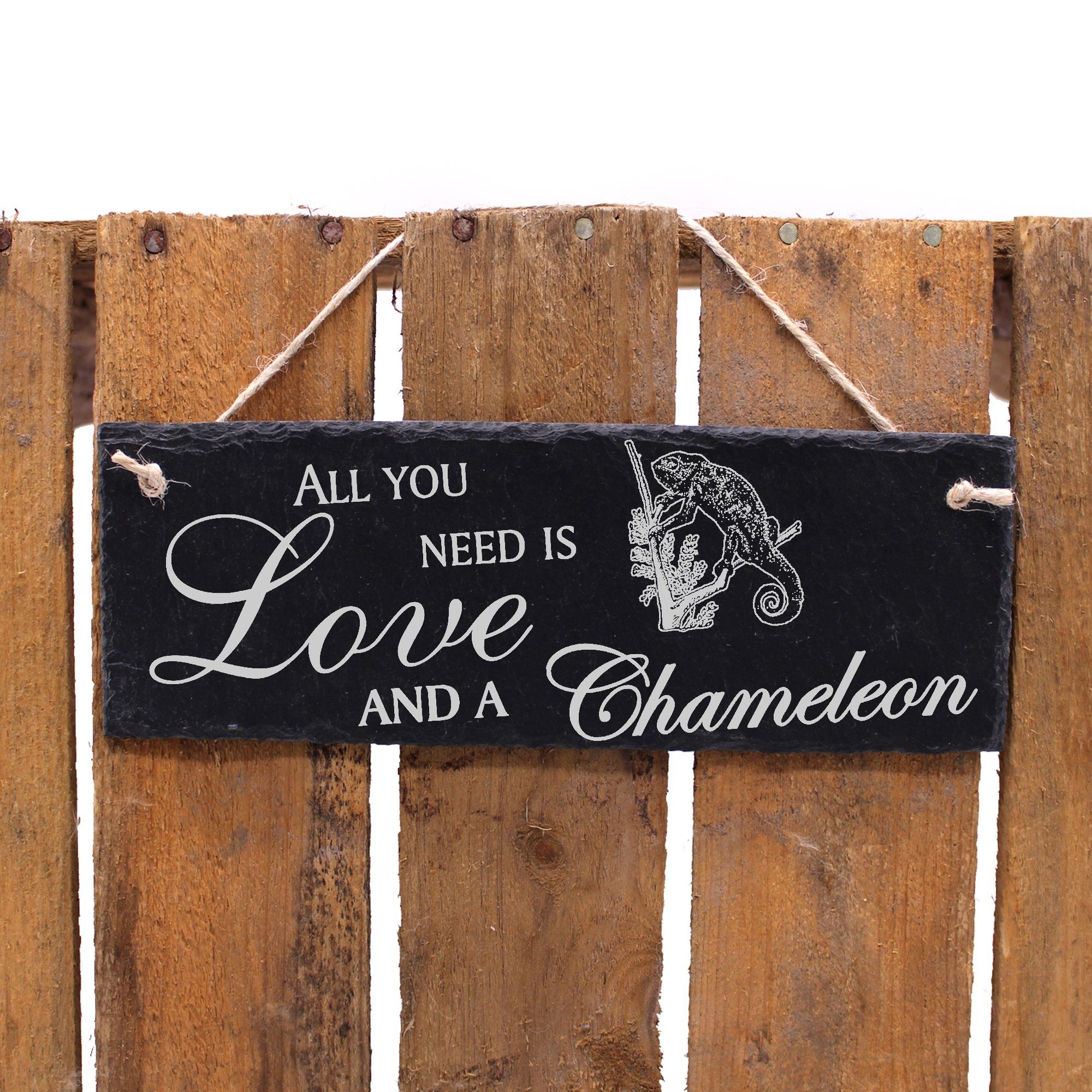 Dekolando Hängedekoration Chamäleon 22x8cm All you and is need Love Chameleon a