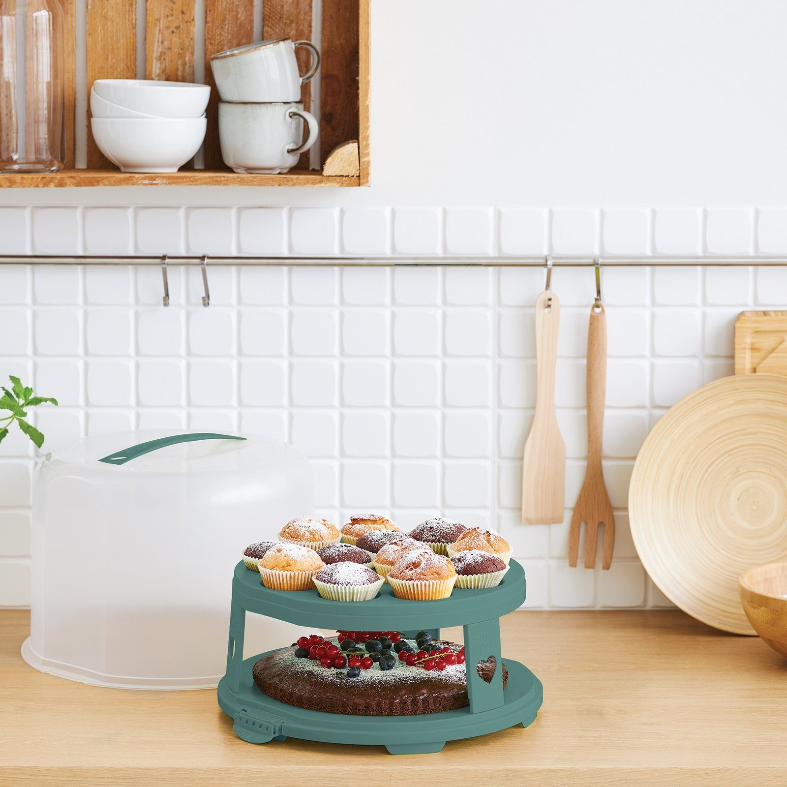 ROTHO Aufbewahrungssystem FRESH Tortenglocke hoch mit Trays, Kunststoff, Hergestellt in der Schweiz – Bild 5 von 5