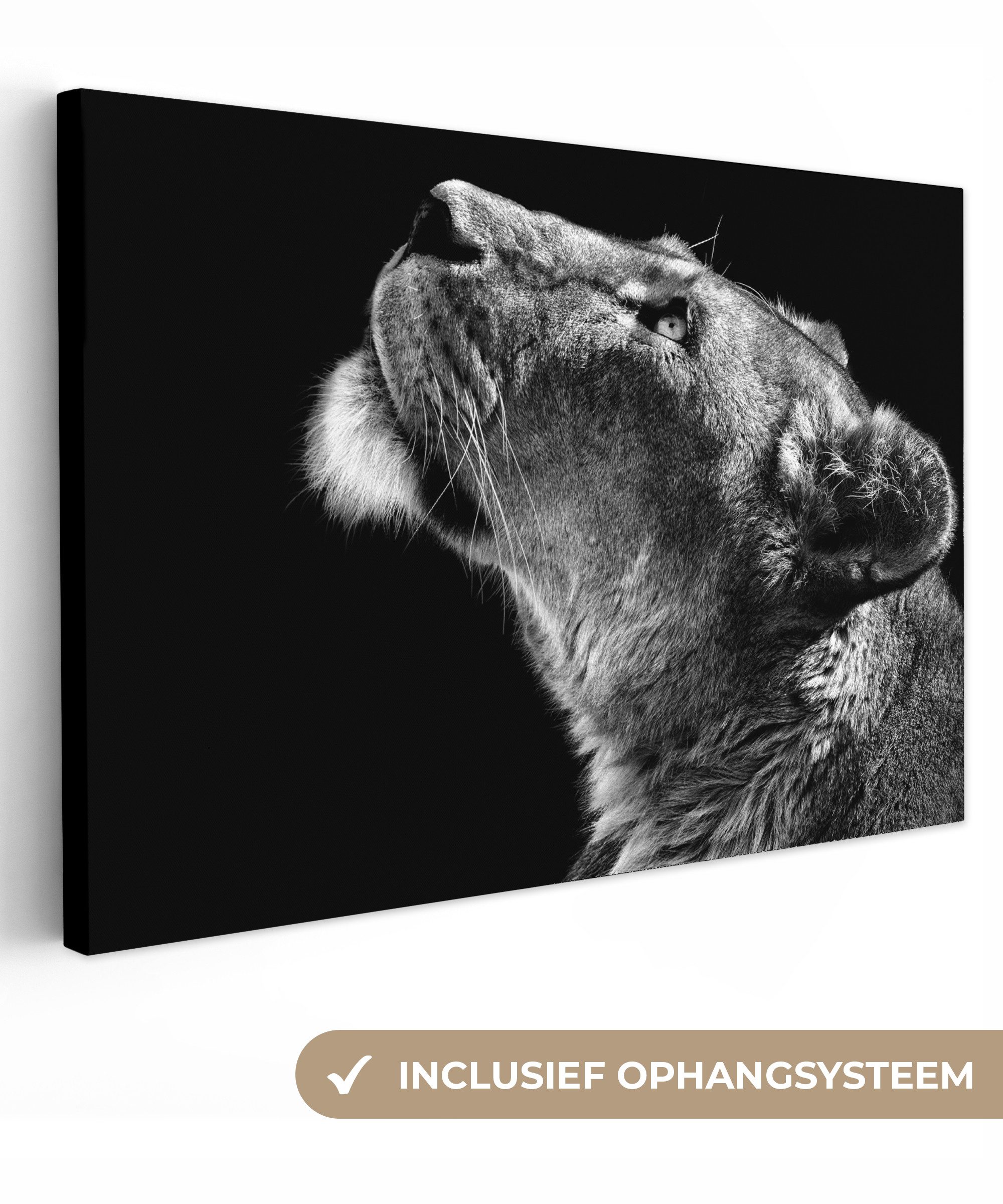 OneMillionCanvasses® Leinwandbild Löwe - Tiere - Schwarz und weiß, Fotodruck (1 St), Leinwand Bilder Klein, Wand Dekoration Aesthetic 30x20 cm