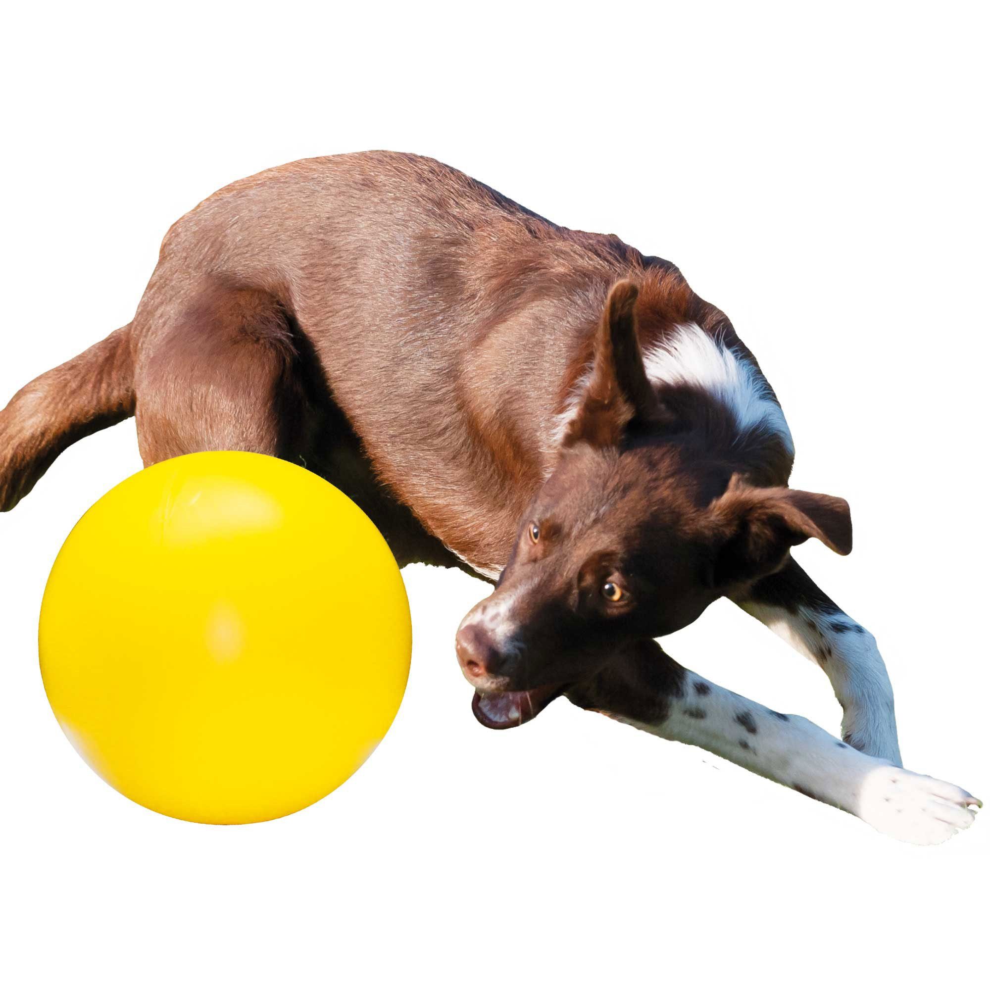 stabil Karlie Tierball gelb Kunststoff, Treibball Hunde, (1-tlg) für