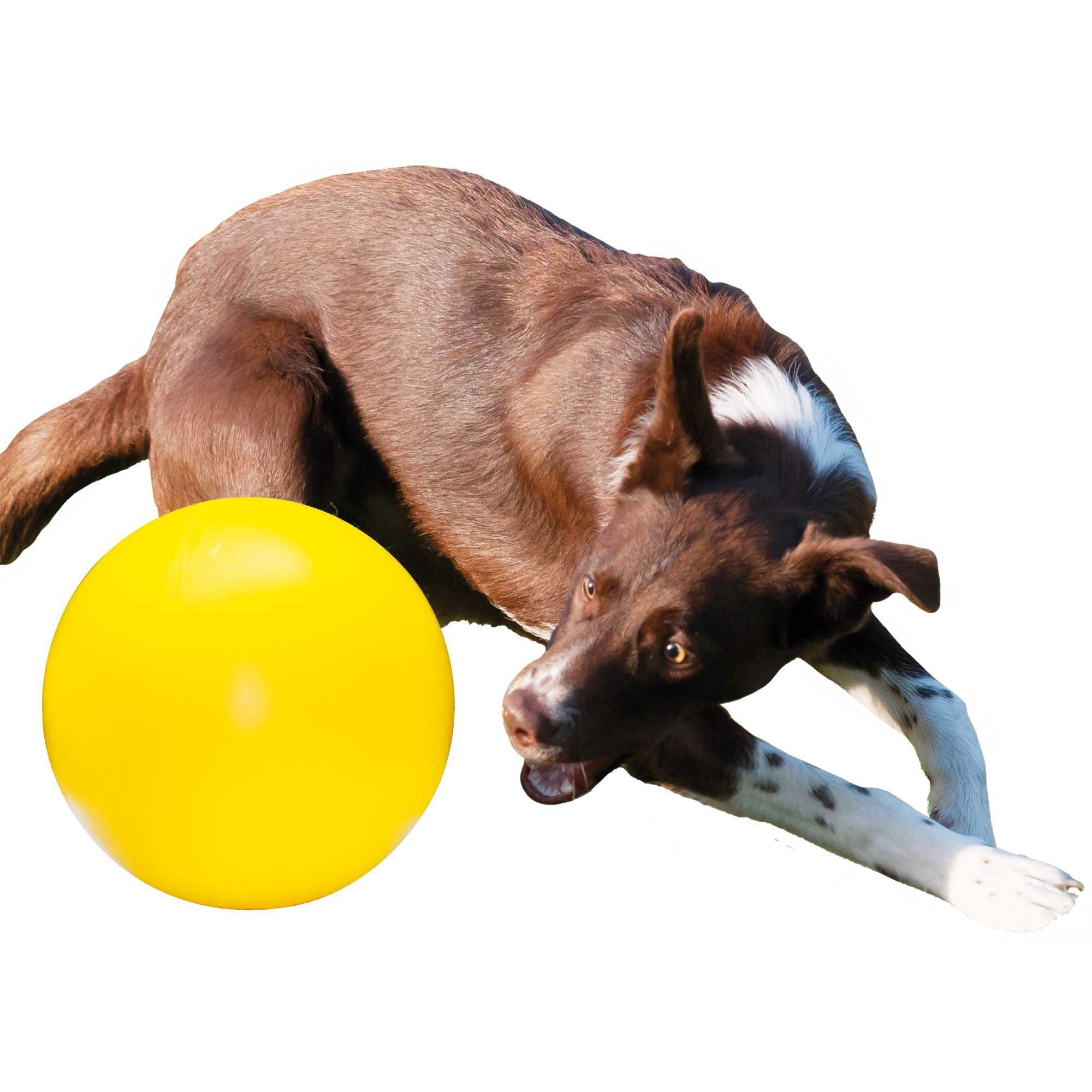 Karlie Tierball Treibball für Hunde, Kunststoff, (1-tlg) stabil