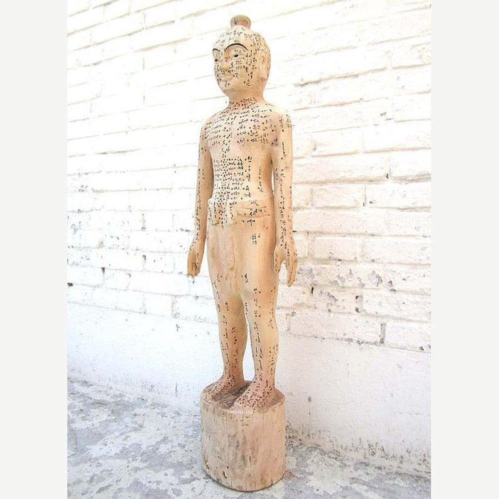 Luxury-Park-Direct Kommode China 1930 Akupunktur Lehrmodell Skulptur Statue Heilkunde von Luxury-