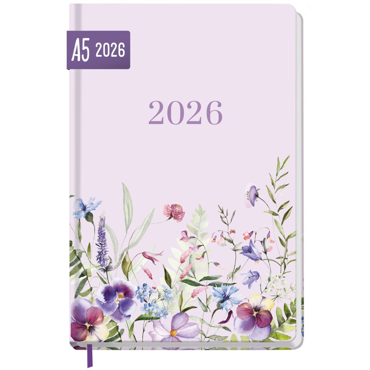 Häfft Terminkalender Großdruck-Kalender 2026 / A5