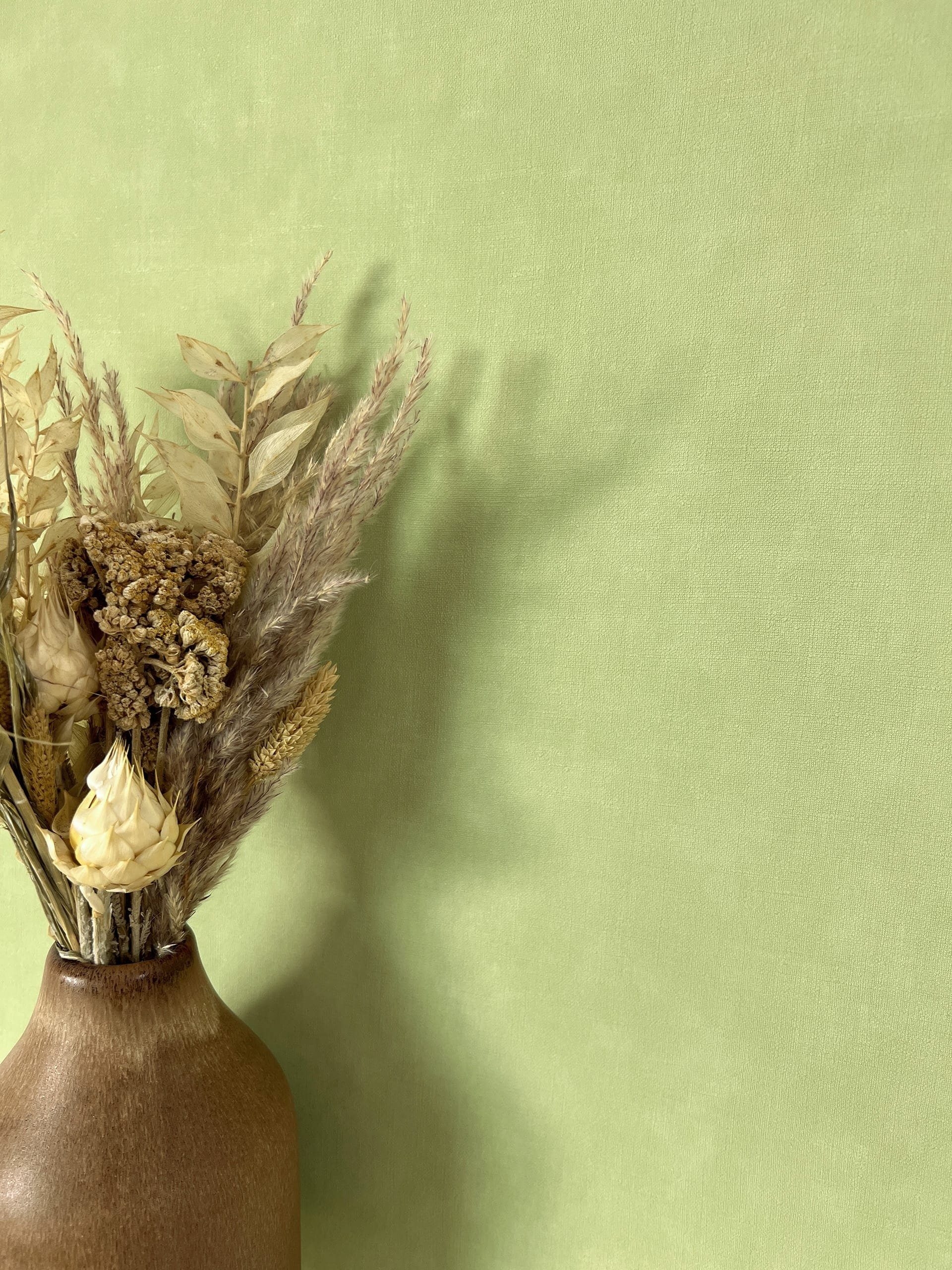 Newroom Vliestapete, Grün Tapete Modern Unifarbe - Universal Einfarbig Hell günstig online kaufen