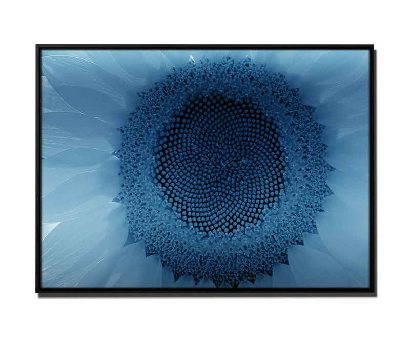 Sinus Art Leinwandbild 105x75cm Wandbild PETROL BLAU Sonnenblumenblüte