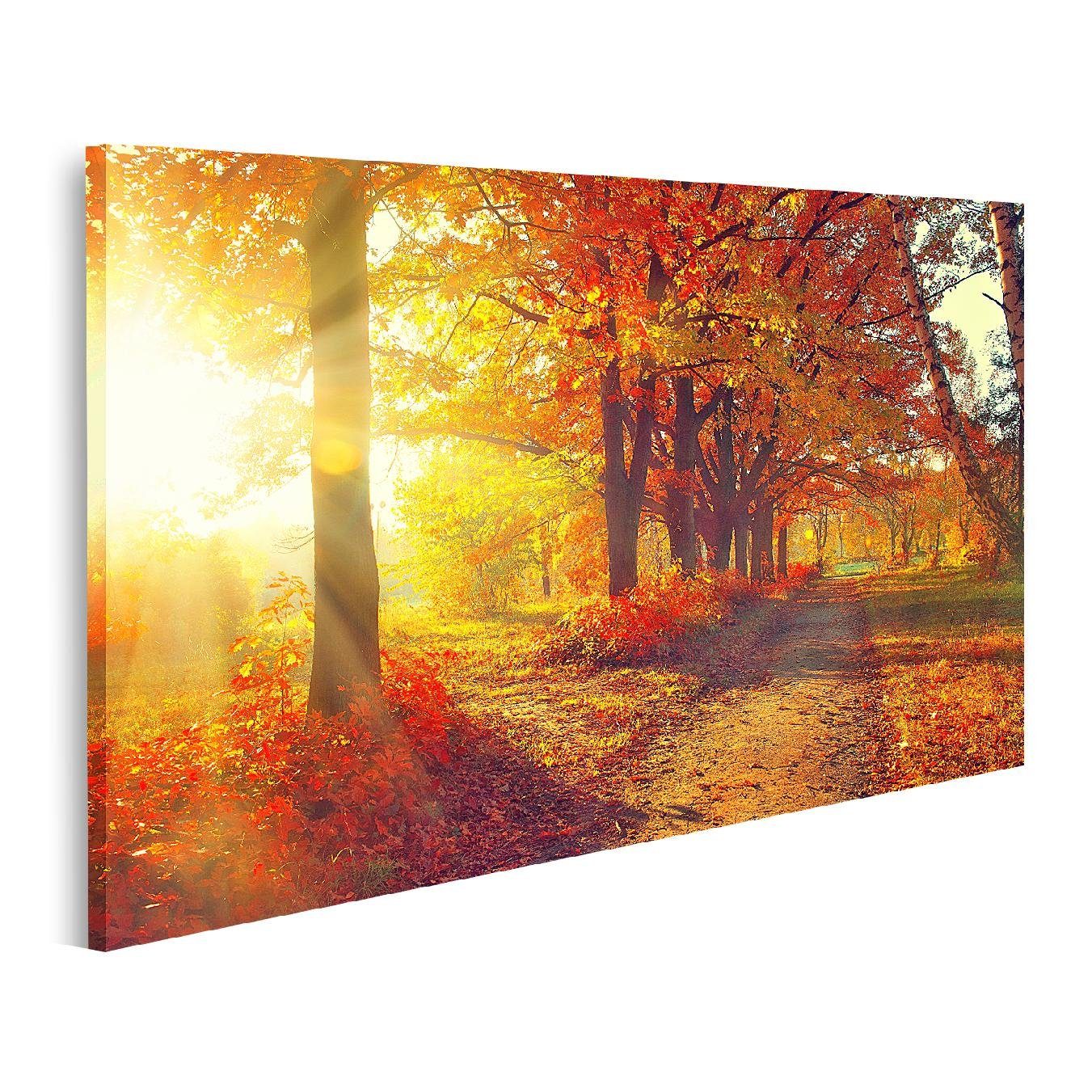 islandburner Leinwandbild Bild auf Leinwand Herbst günstig online kaufen