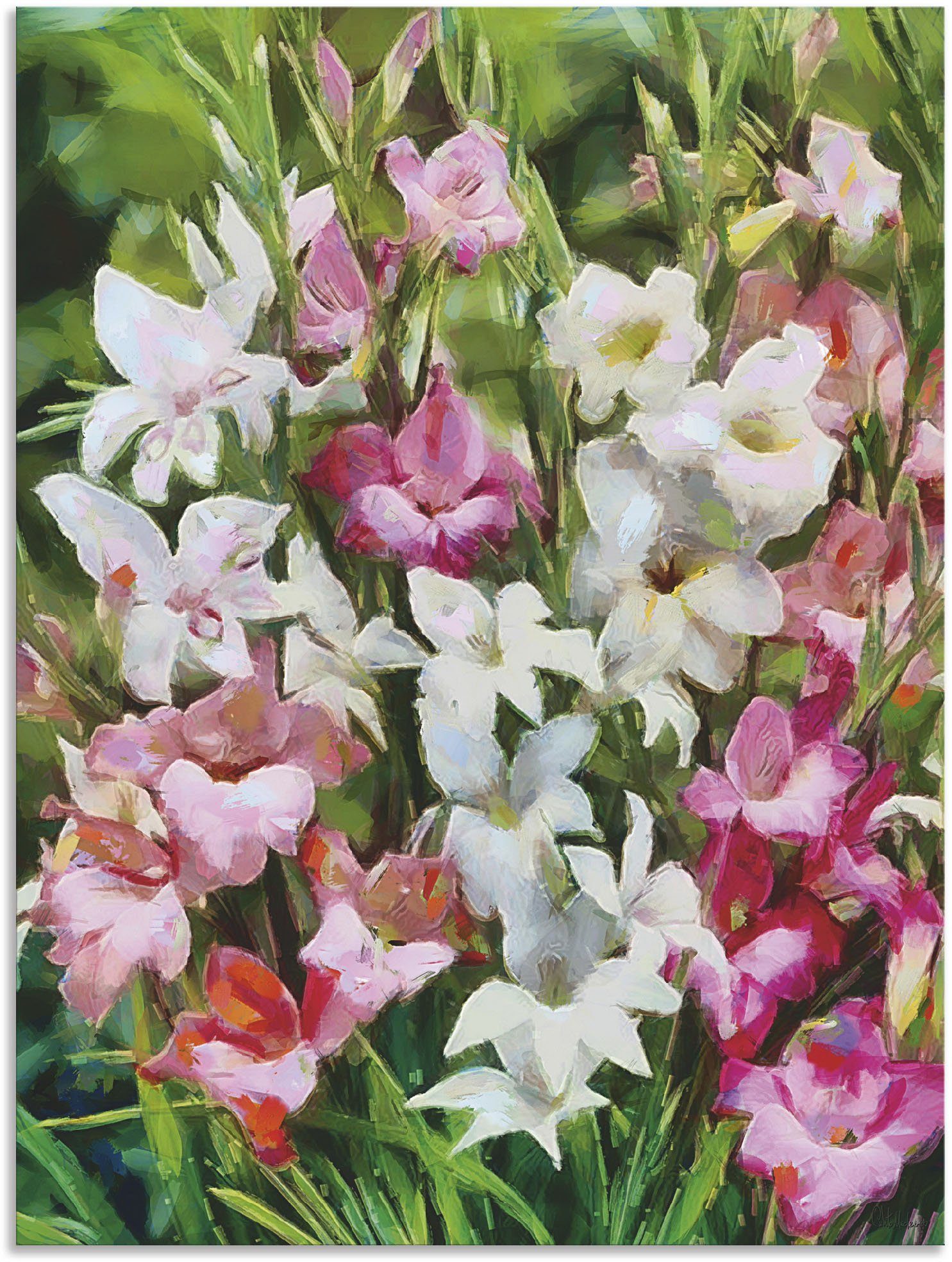 Wandbild oder Alubild, II, Gladiolus Blumenbilder als Leinwandbild, Größen Artland (1 versch. Poster Wandaufkleber in St),