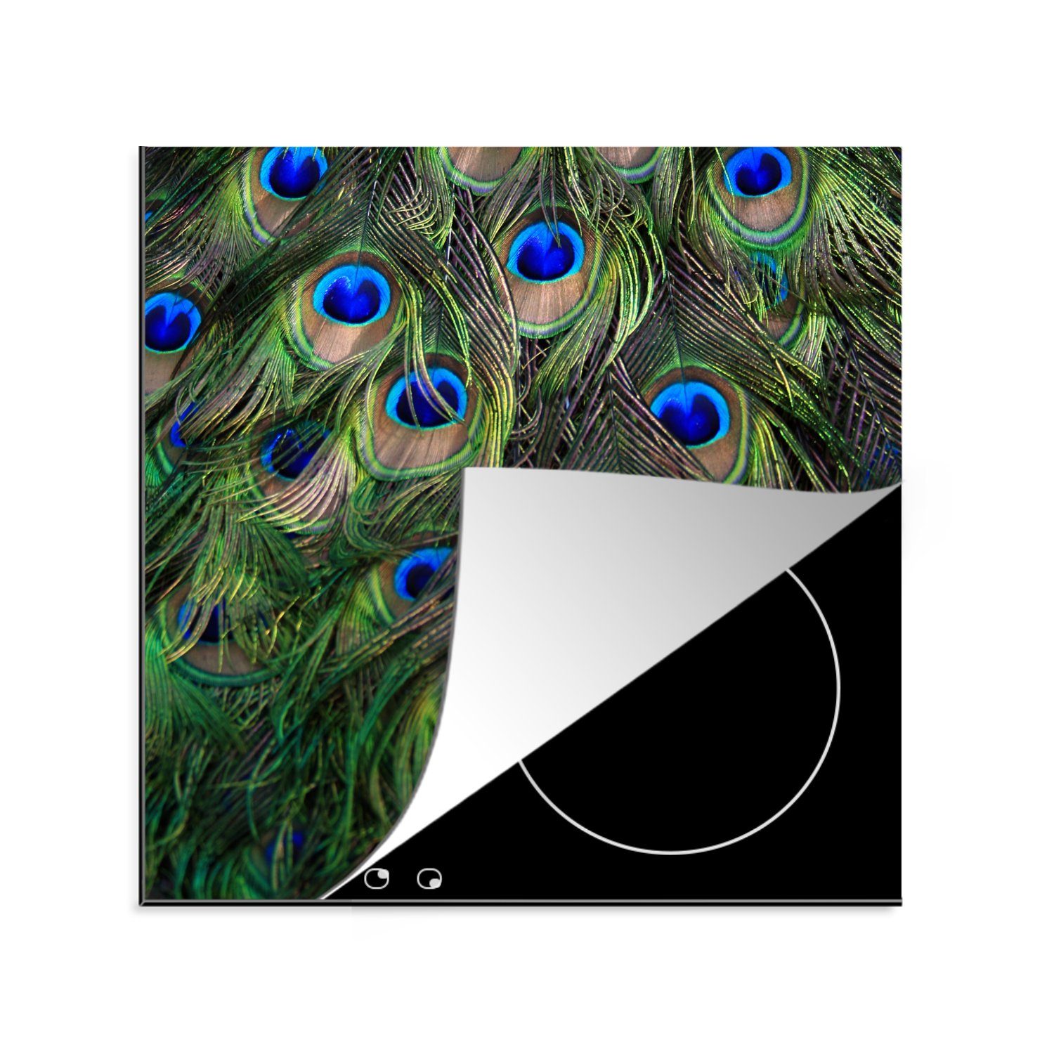 MuchoWow Herdblende-/Abdeckplatte Pfau - Federn - Augen - Blau, Vinyl, (1 tlg), 78x78 cm, Ceranfeldabdeckung, Arbeitsplatte für küche