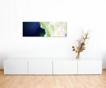 Sinus Art Leinwandbild Naturfotografie  Weiße Blüte auf Leinwand exklusives Wandbild moderne Fotografie für ihre Wand in v