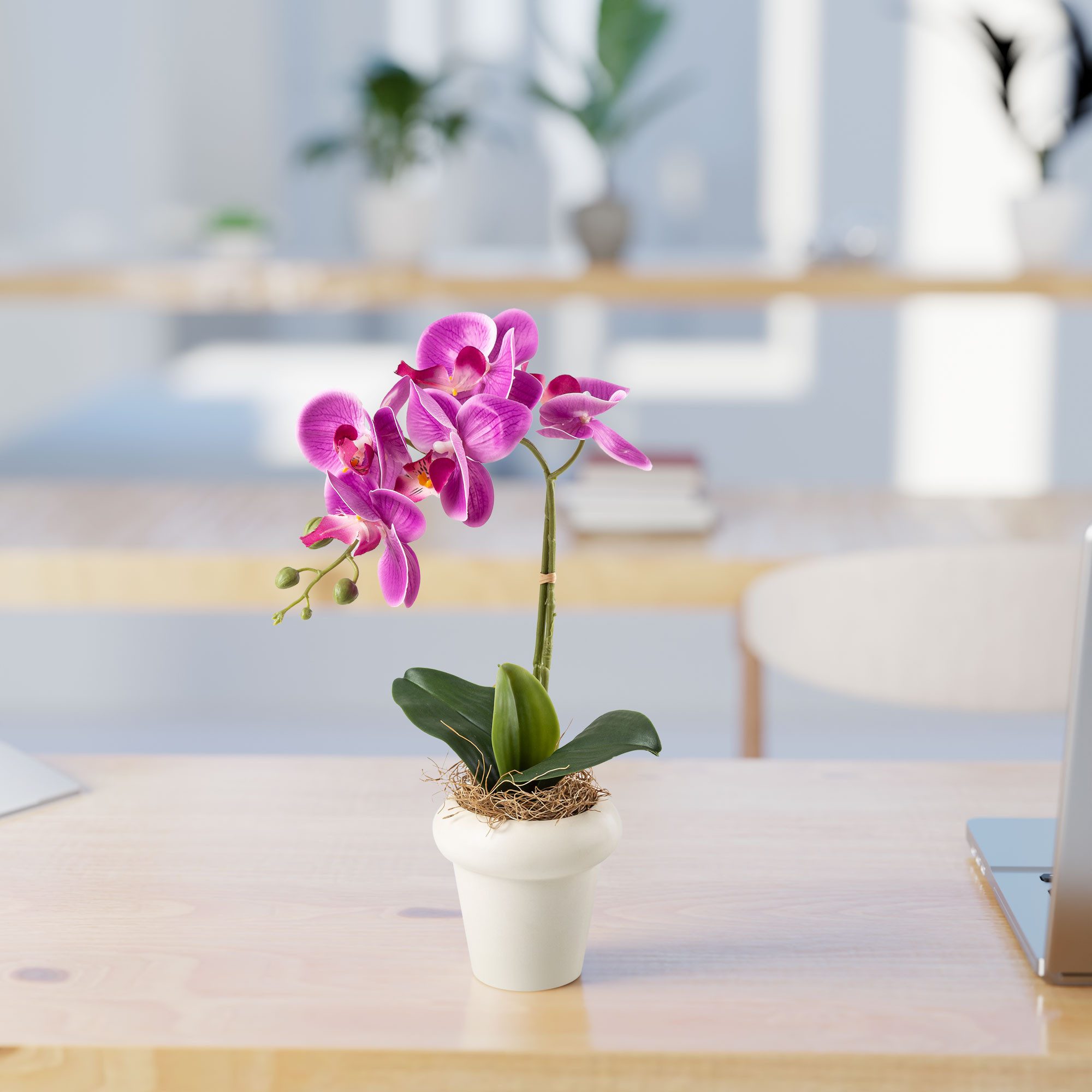 Kunstblume Kunstblumen im Topf, Künstliche Blumen wie echt, Deko Blumen Geranie, Kamelie, Orchidee, Azalee, Veilchen, PASCH, Hochwertiger Keramiktopf