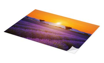 Posterlounge Wandfolie Editors Choice, Sonne über dem Lavendel, Mediterran Fotografie