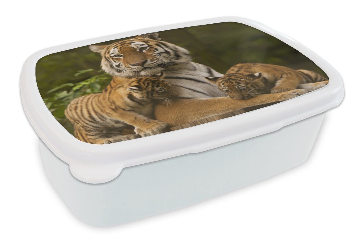 MuchoWow Lunchbox Tiger - Jungtiere - Natur, Kunststoff, (2-tlg), Brotbox für Kinder und Erwachsene, Brotdose, für Jungs und Mädchen weiß