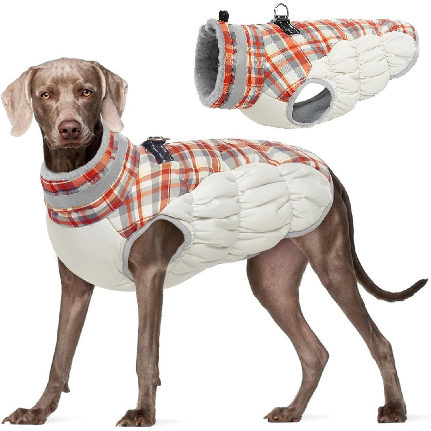 LuxusKollektion Hundemantel Hundemantel groß