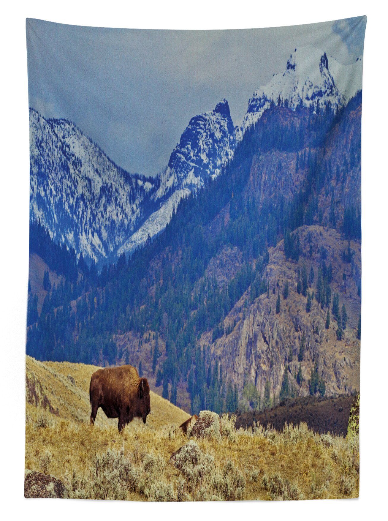 Abakuhaus Tischdecke Farbfest Snowy Farben, Klare Waschbar Außen den Wyoming und geeignet Bereich Für Mountains Bison