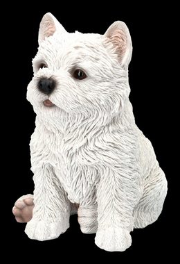 Figuren Shop GmbH Tierfigur West Highland Terrier Figur - Westie Welpe - Tierdeko Dekofigur Hund