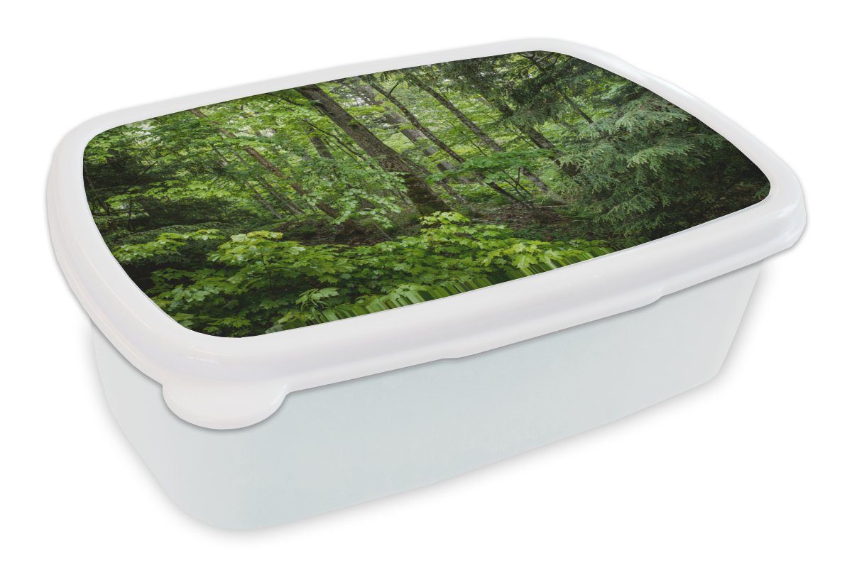 Kinder Erwachsene, Lunchbox Brotbox weiß für Mädchen und Wald Baum Grün, Jungs für und - - (2-tlg), Brotdose, MuchoWow Kunststoff,