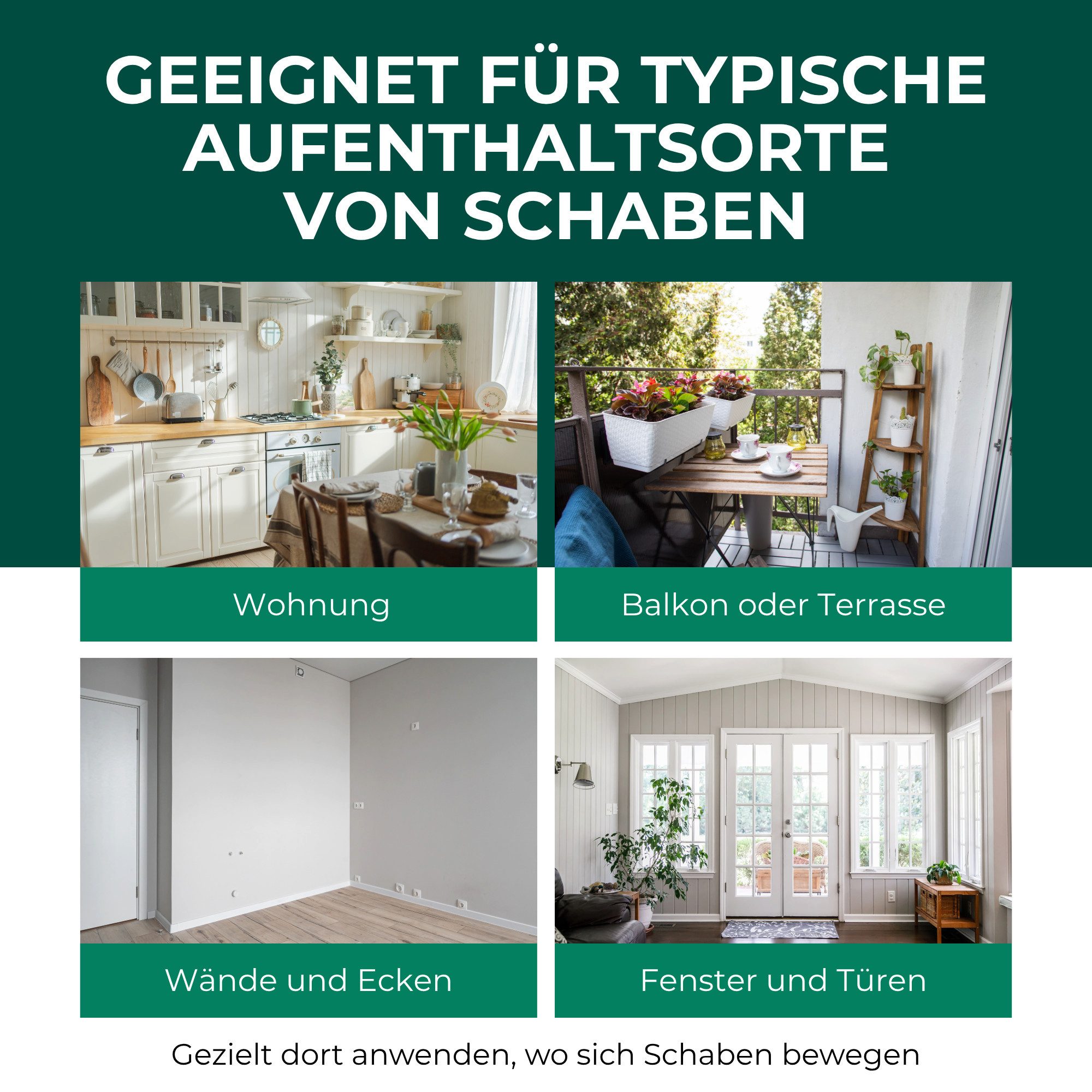 Silberkraft Insektenspray Schabenspray 500ml inkl. E-Book per QR-Code, Effektive Abwehr für ein schabenfreies Zuhause, 1-St., Schabenmittel & Kakerlakenspray ge – Bild 3 von 5