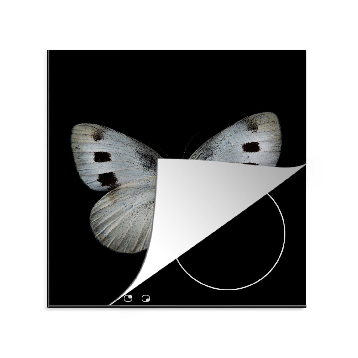 MuchoWow Herdblende-/Abdeckplatte Schmetterling - Insekten - Schwarz, Vinyl, (1 tlg), 78x78 cm, Ceranfeldabdeckung, Arbeitsplatte für küche