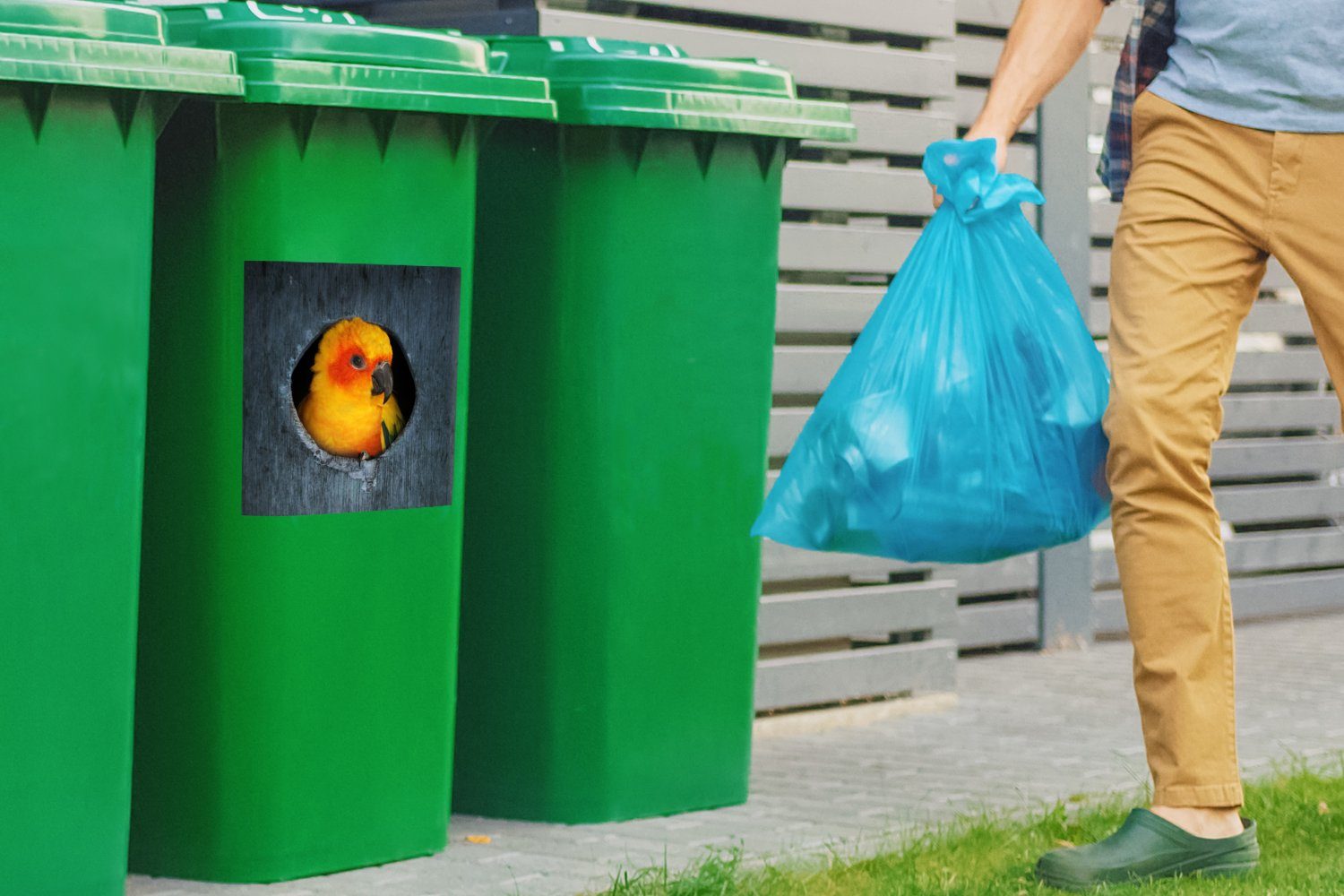 Mülltonne, Sticker, sitzt einem Abfalbehälter Baum MuchoWow (1 in Wandsticker Container, St), einem Ein Sonnensittich Mülleimer-aufkleber, in Nest
