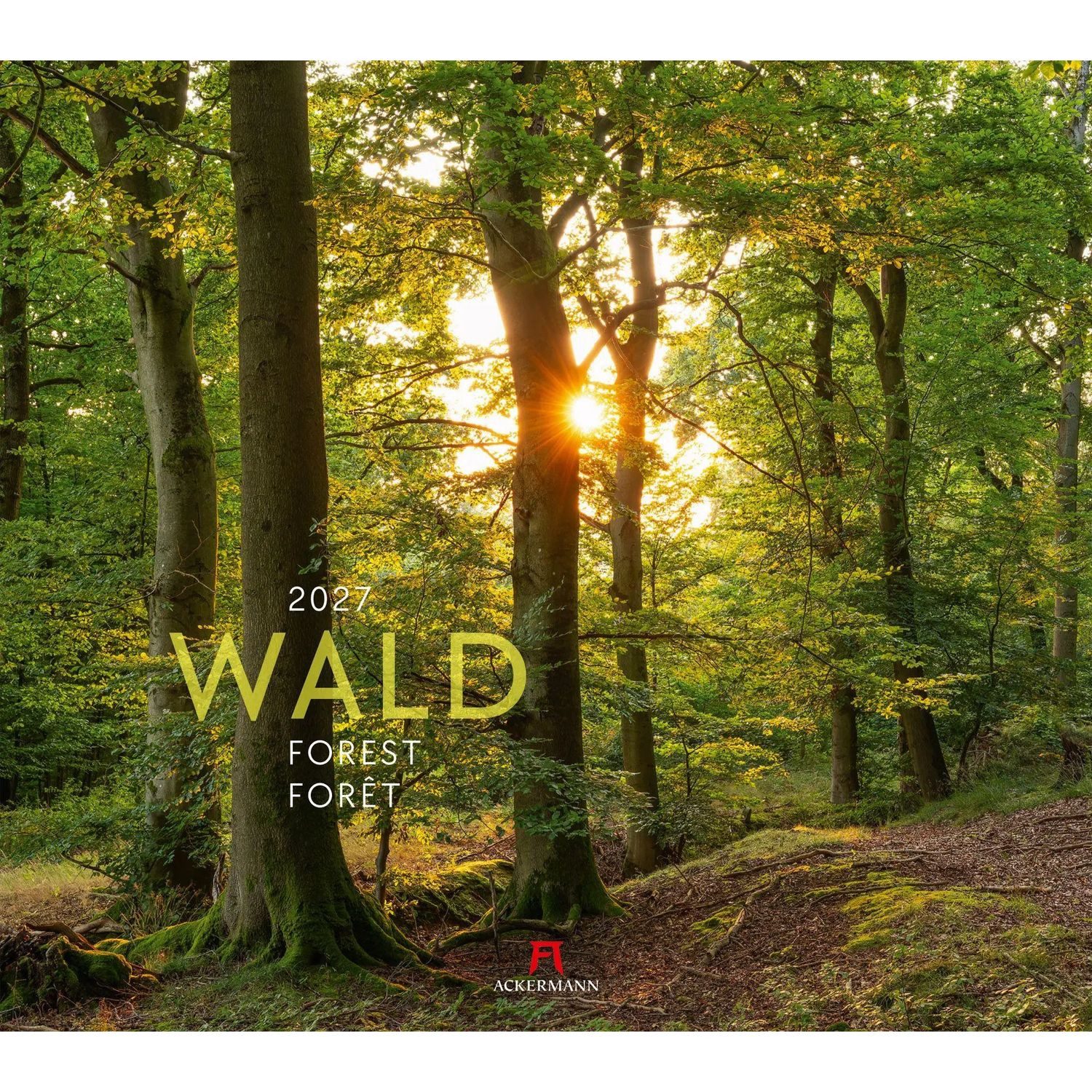 Ackermann Wandkalender Wald Kalender 2027