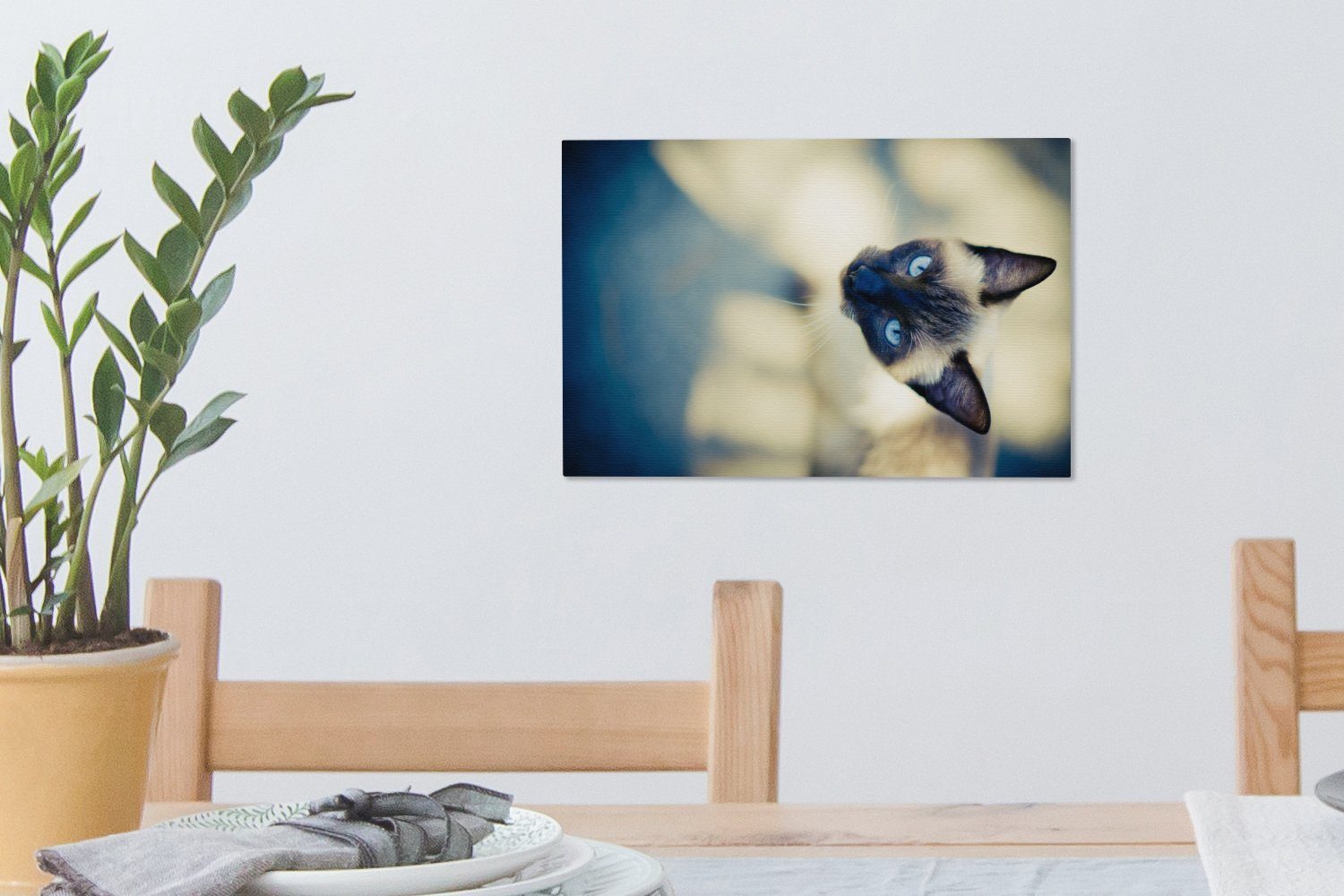 Eine von siamesische Katze Wanddeko, OneMillionCanvasses® oben, 30x20 Aufhängefertig, Leinwandbilder, Wandbild cm St), Leinwandbild (1