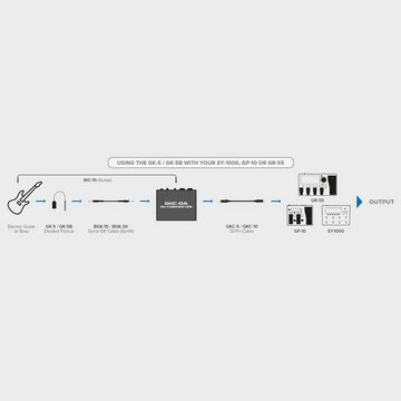 Boss by Roland E-Gitarre GKC-DA, Digital, zu, Analog, Wandler