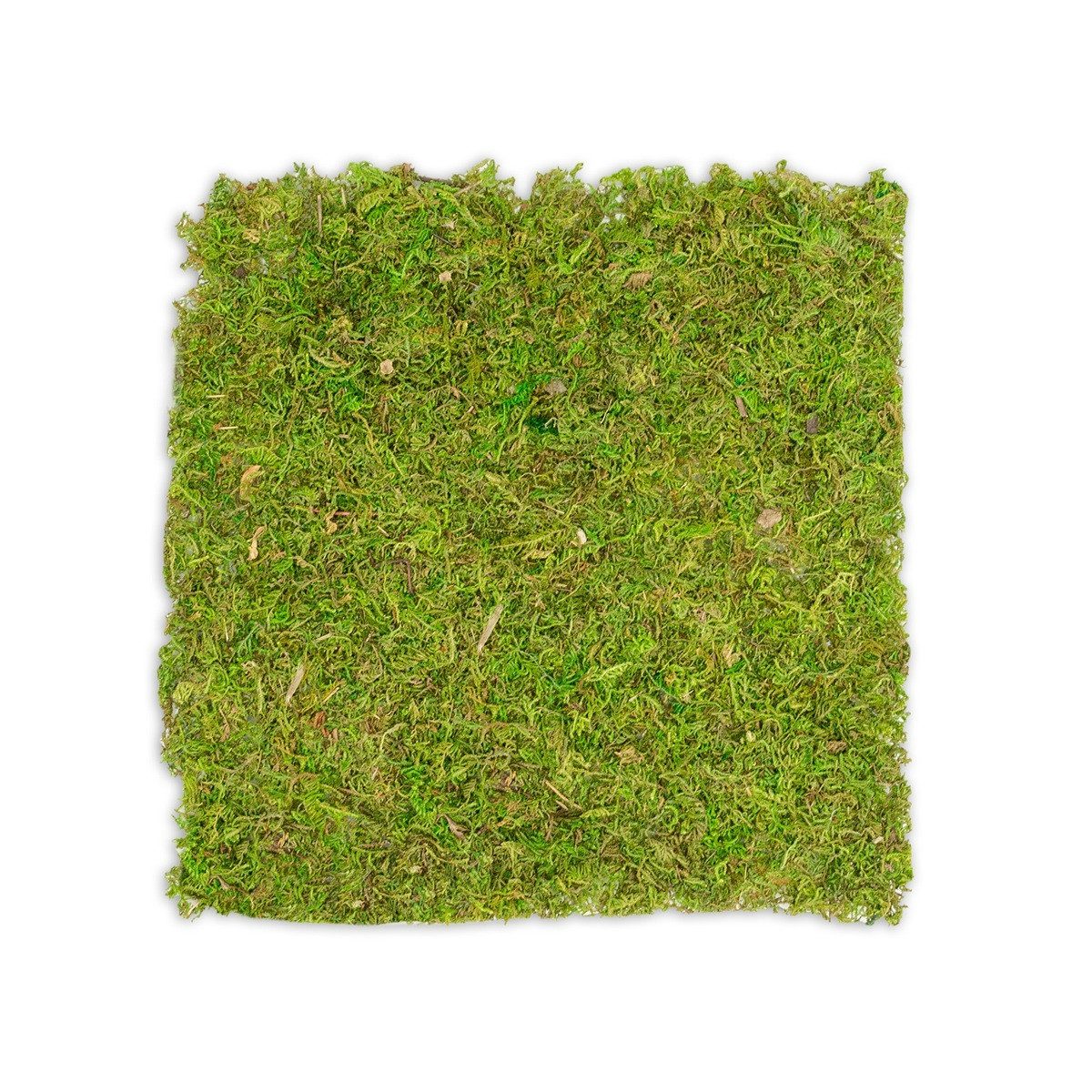 NaDeco Bastelnaturmaterial Moosplatte, Quadratisch, Größe ca. 38 x 38cm Moosbild selber machen