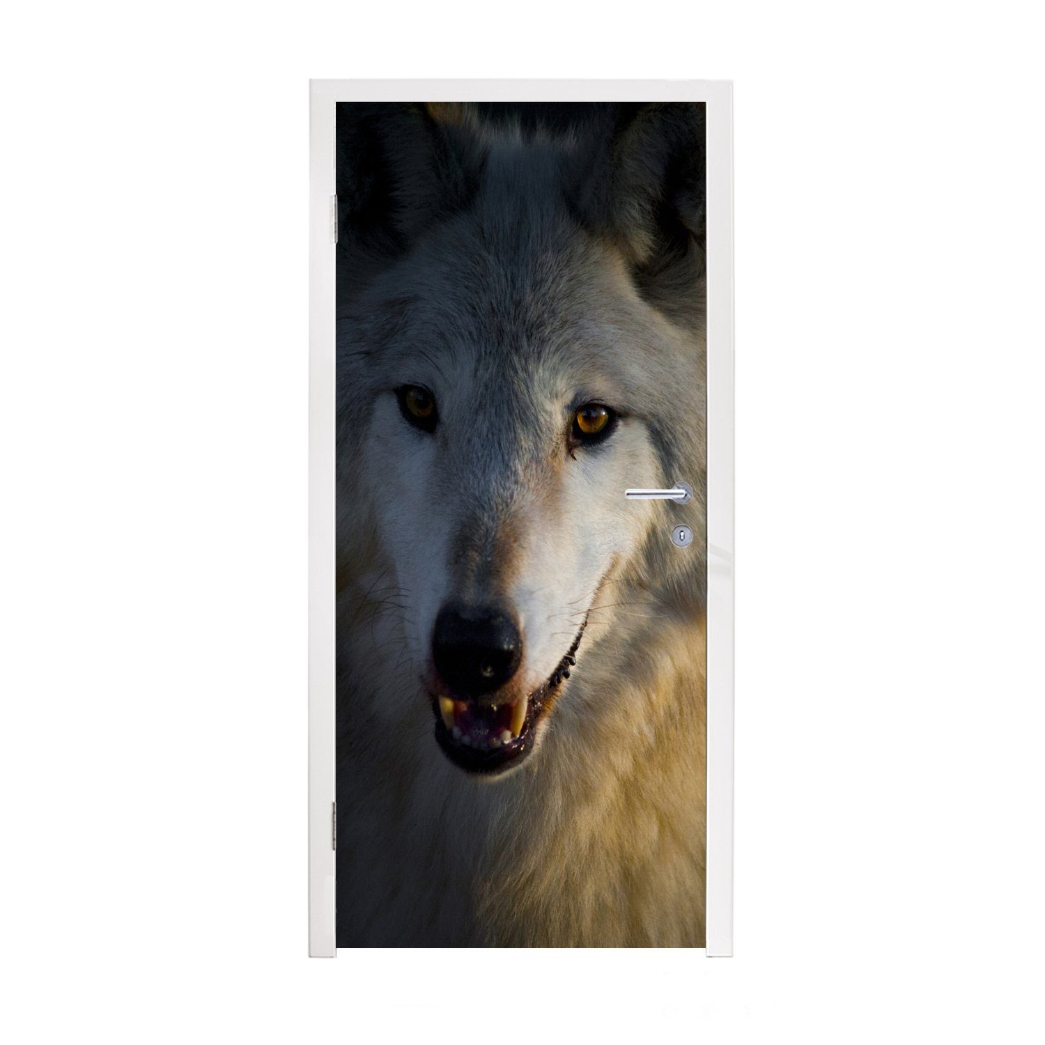 MuchoWow Türtapete Nahaufnahme eines arktischen Wolfs, Matt, bedruckt, (1 St), Fototapete für Tür, Türaufkleber, 75x205 cm