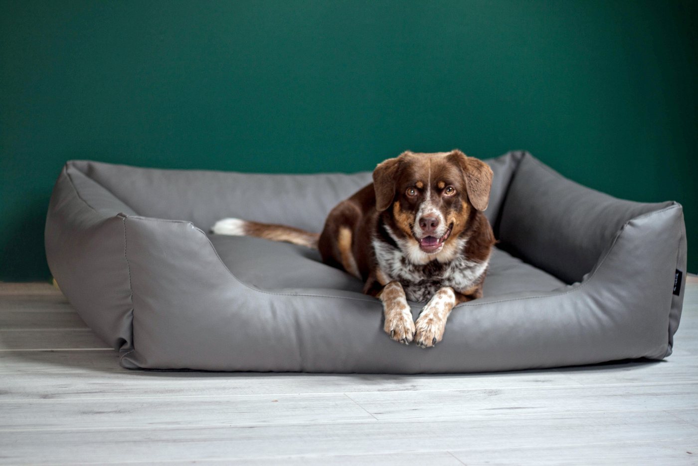Thumbnail - 4L TEXTIL Tierbett "Mario" - Wasserfestes Hundebett aus Kunstleder, für große und mittelgroße Hunde, L-XXL, Indoor / Out...