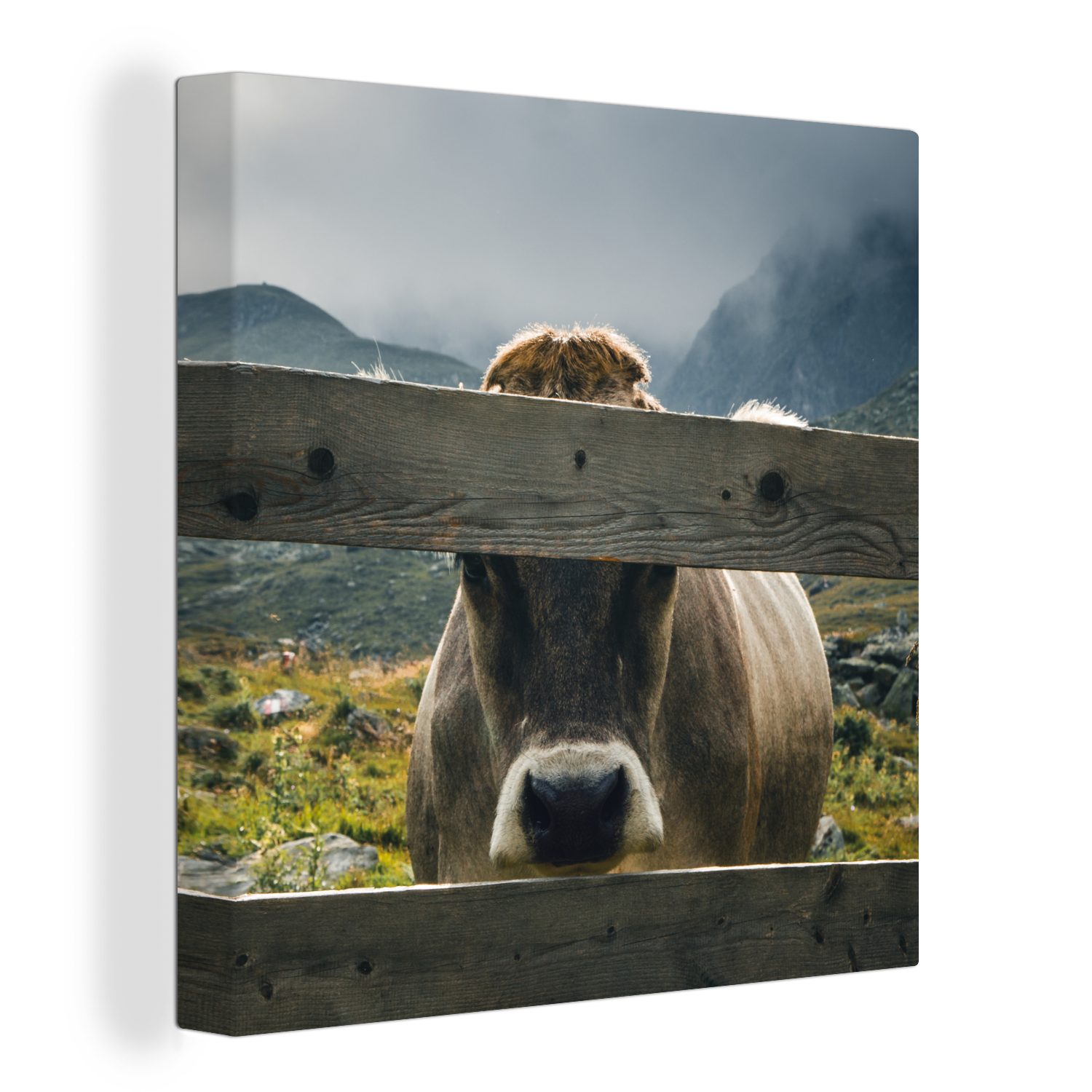 OneMillionCanvasses® Leinwandbild Kuh - Nebel - Zaun, (1 St), Leinwand Bilder für Wohnzimmer Schlafzimmer