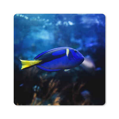 MuchoWow Gaming Mauspad Blauer Fisch im Aquarium (1-St), Gaming, Rutschfester Unterseite, Mausunterlage, 80x80 cm, XXL, Großes