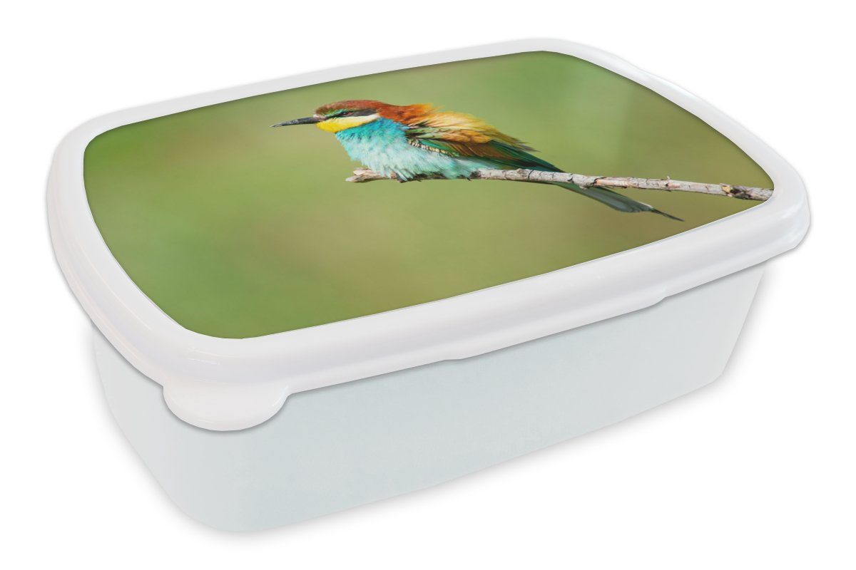 MuchoWow Lunchbox Vogel - Tiere - Bienenfresser, Kunststoff, (2-tlg), Brotbox für Kinder und Erwachsene, Brotdose, für Jungs und Mädchen weiß