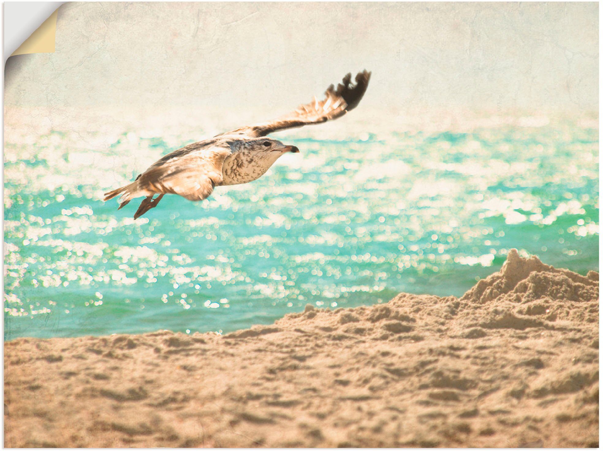 Artland Wandbild Der Flug der Möwe, Vögel (1 St), als Leinwandbild, Wandaufkleber oder Poster in versch. Größen