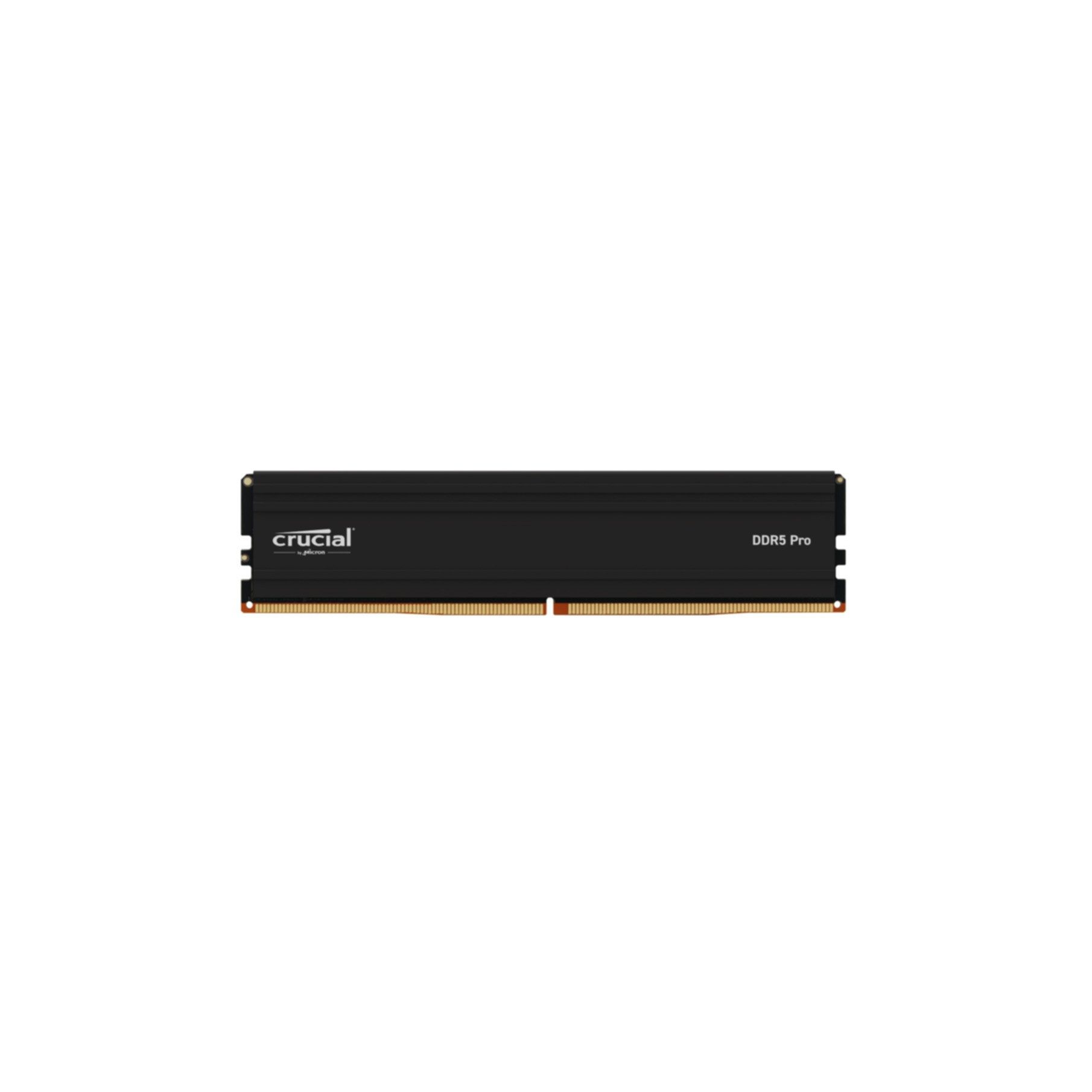 Crucial CP32G56C46U5 Arbeitsspeicher