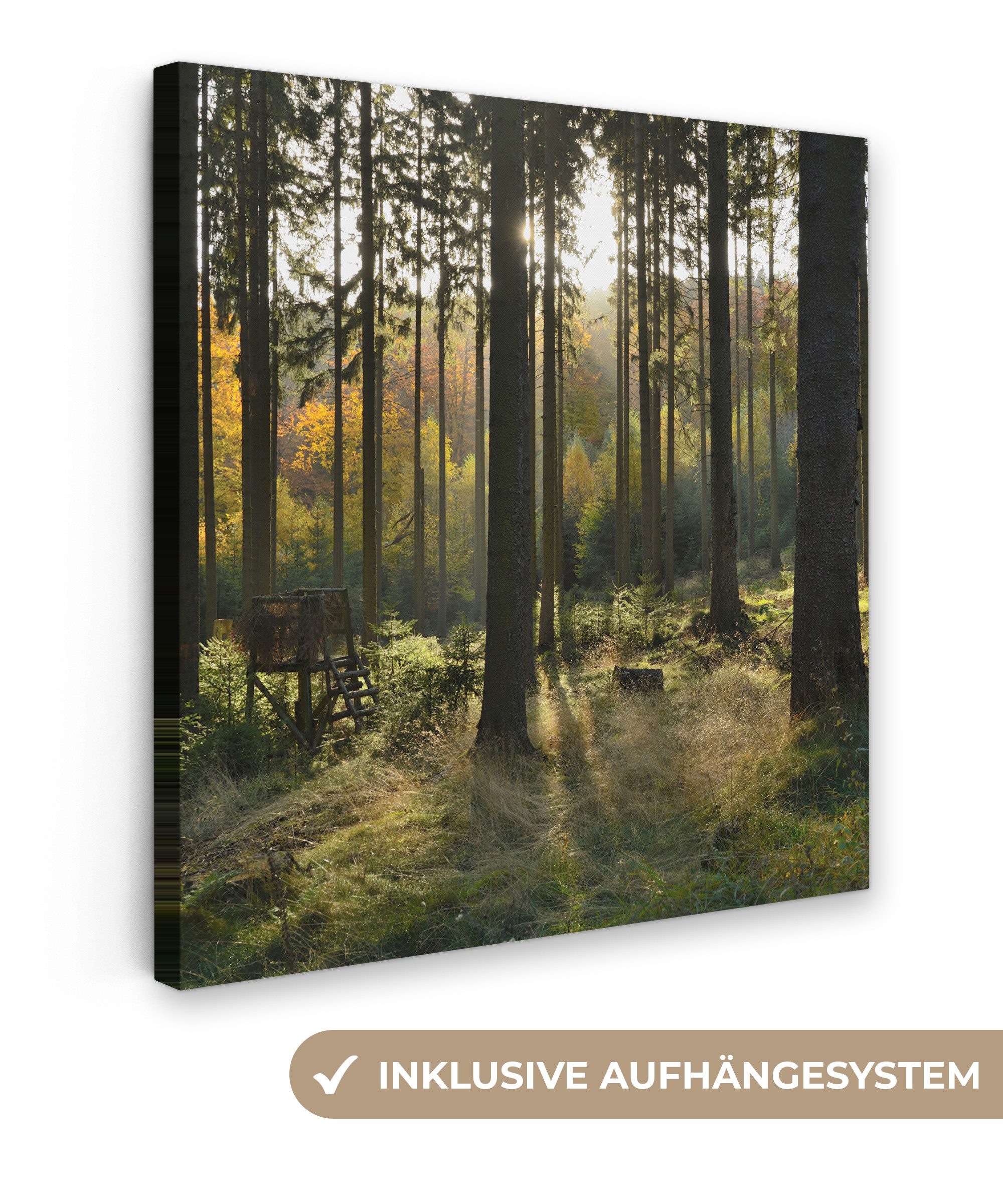 OneMillionCanvasses® Leinwandbild Wald - Sommer - Sonne, Fotodruck (1 St), Wandbild, Deko Schlafzimmer Wohnzimmer Flur 20x20 cm