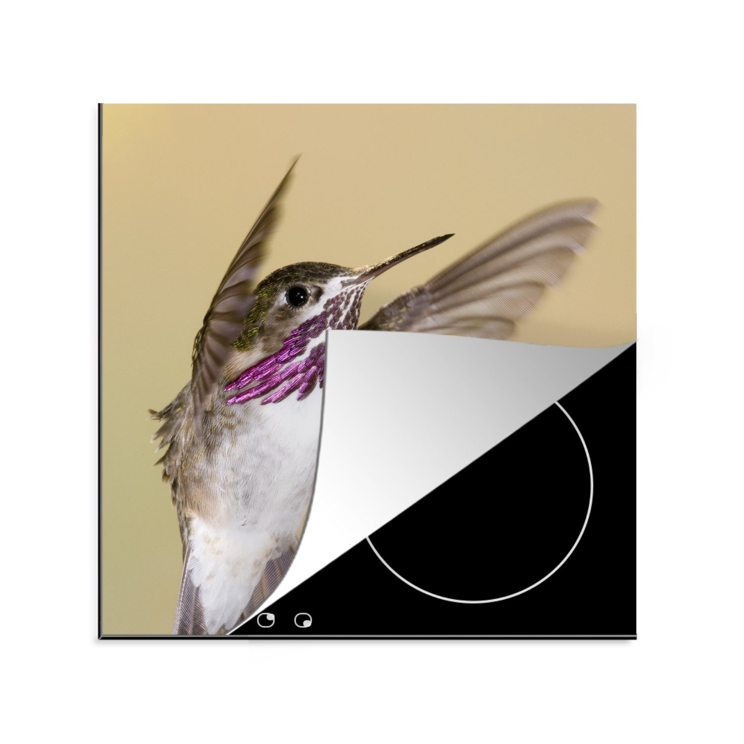 MuchoWow Herdblende-/Abdeckplatte Vogel küche cm, Lila, Kolibri - - tlg), Vinyl, Arbeitsplatte Ceranfeldabdeckung, für (1 78x78