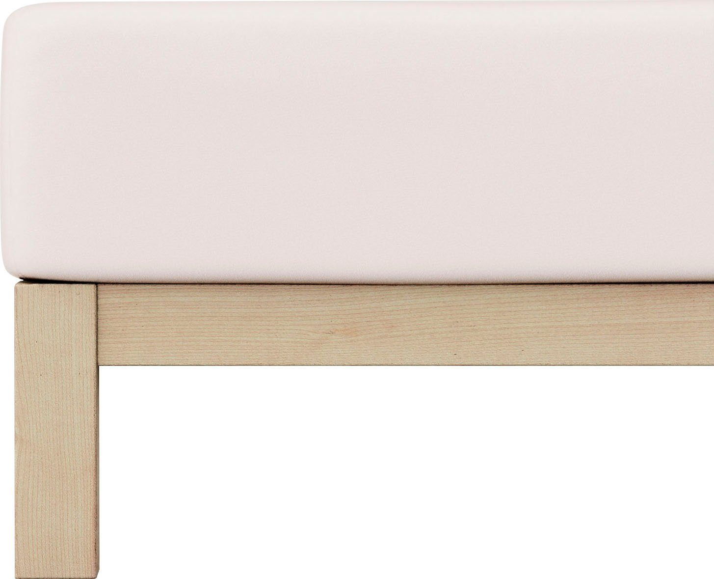 Schlafgut Spannbettlaken PURE Bio-Baumwolle mit Elasthan, dehnbar blickdich günstig online kaufen