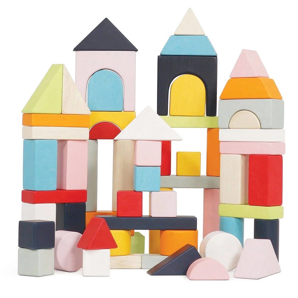 Le Toy Van Greifspielzeug Le Toy Van 60 Bauklötze Holz pastell bunt