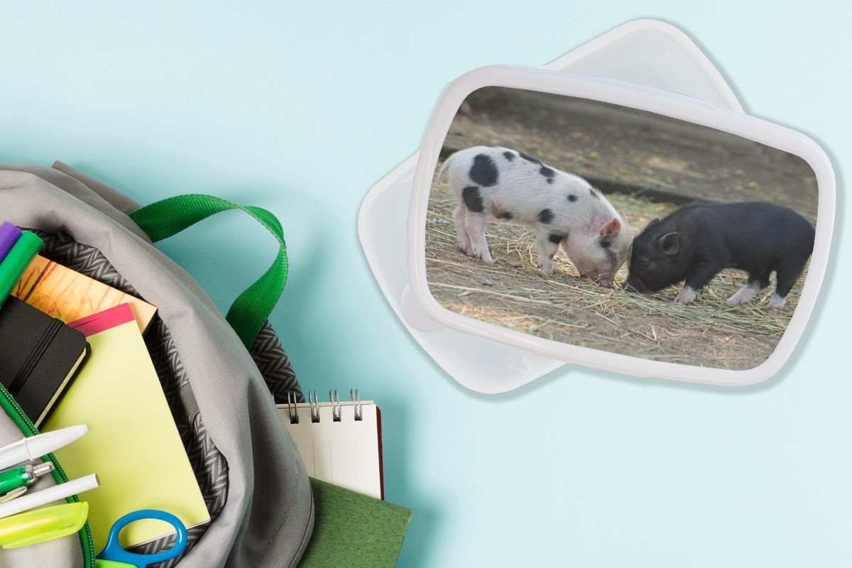 Kunststoff, für Ferkel und Mädchen Jungs - Lunchbox MuchoWow - Erwachsene, für Stroh, und Brotdose, weiß Brotbox Schweine (2-tlg), Kinder