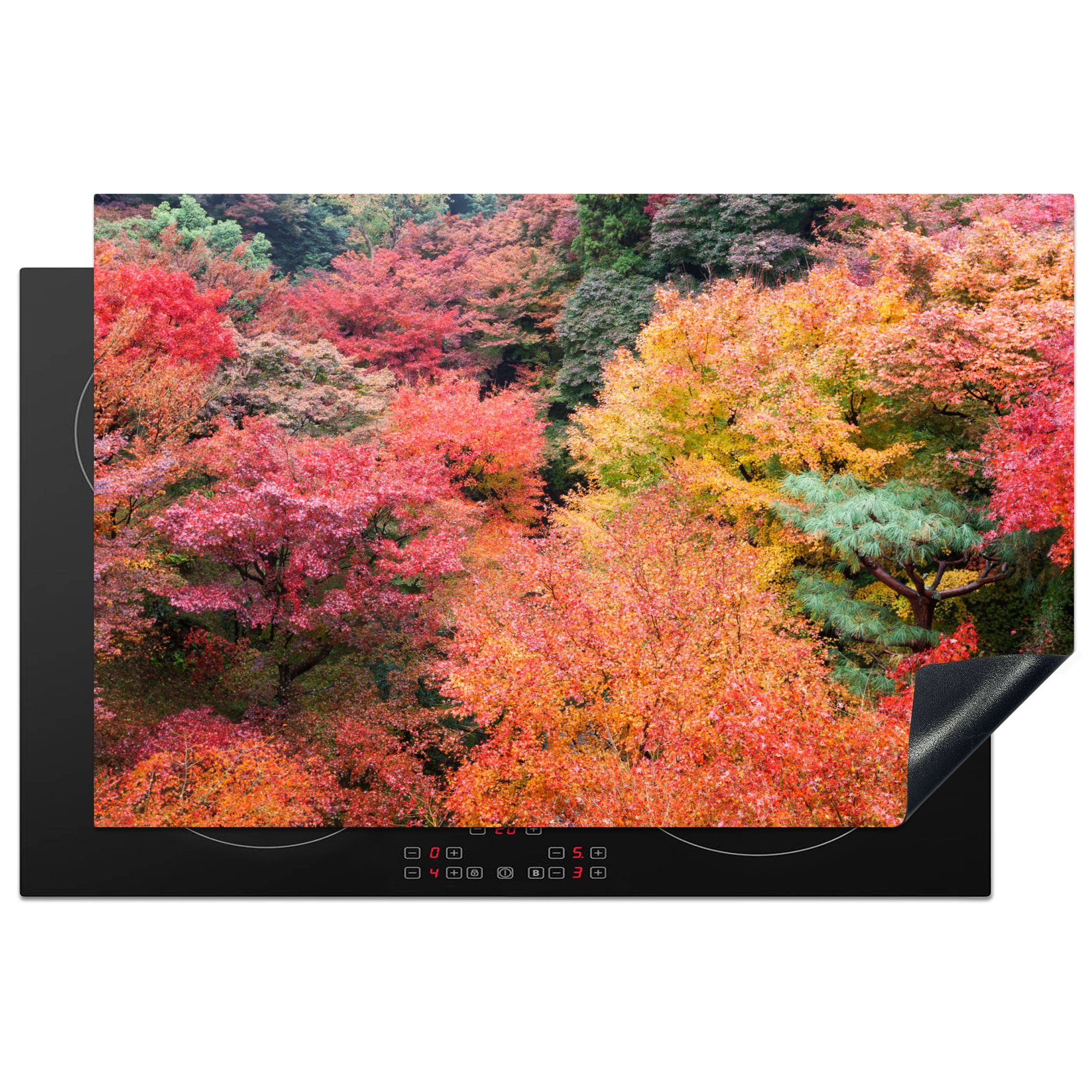 MuchoWow Herdblende-/Abdeckplatte Wald mit japanischen Ahornbäumen in Kyoto, Vinyl, (1 tlg), 81x52 cm, Induktionskochfeld Schutz für die küche, Ceranfeldabdeckung