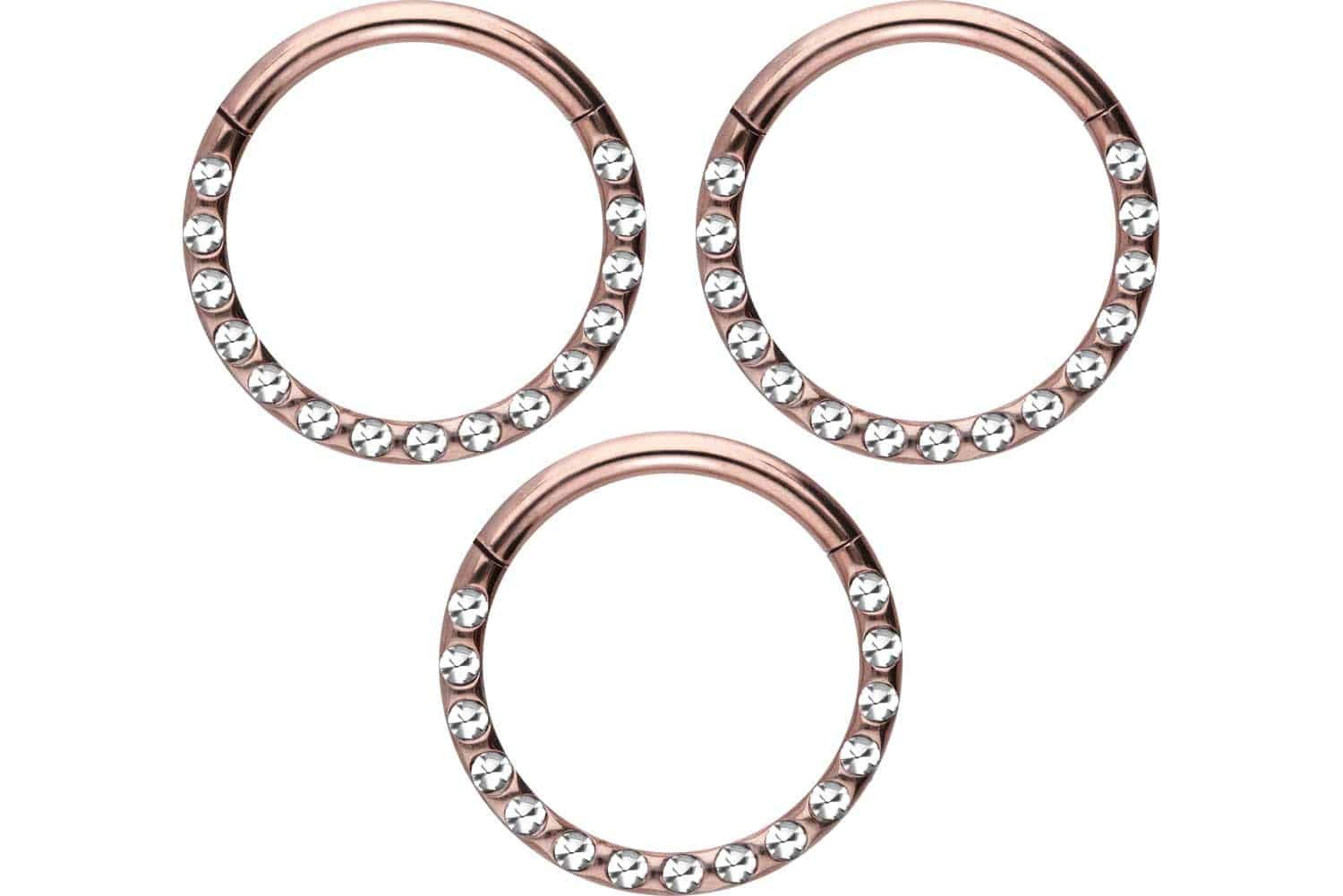 Nasenpiercing SET Chirurgenstahl Segmentring Clicker KRISTALLE + EPOXY Ohrpiercing