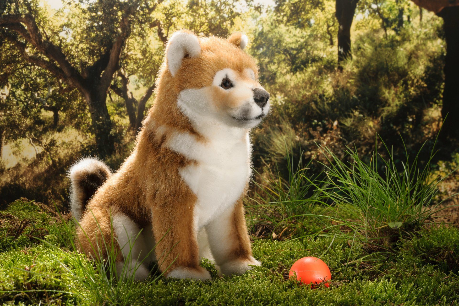 Kösen Kuscheltier Shiba-Inu Welpe sitzend 22 cm Hund (Hund Shiba-Inu Welpe  sitzend 22 cm, Made in Germany, Plüschtier, Plüschhunde, Stofftier,  Stoffhunde)