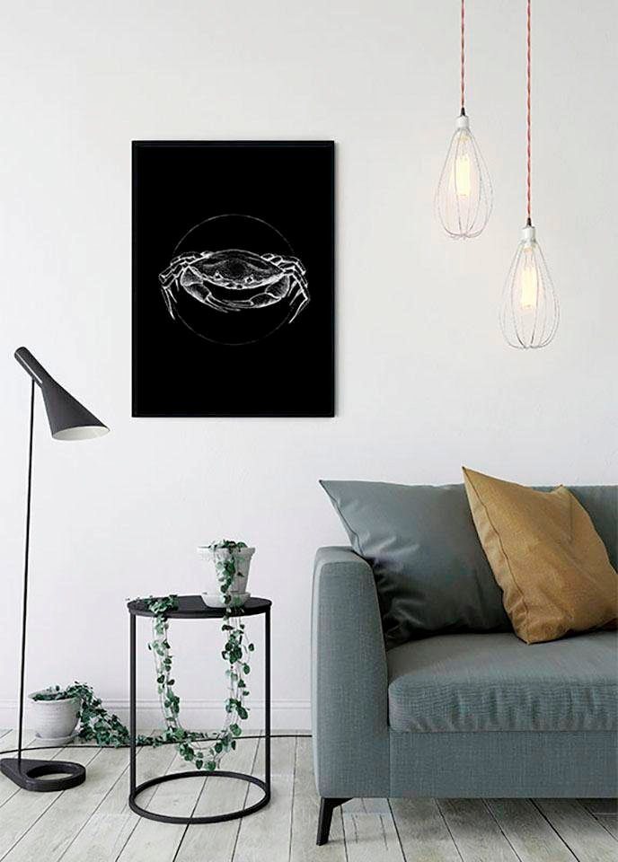 Komar Poster Crab Black, Tiere (1 St), Kinderzimmer, Schlafzimmer,  Wohnzimmer