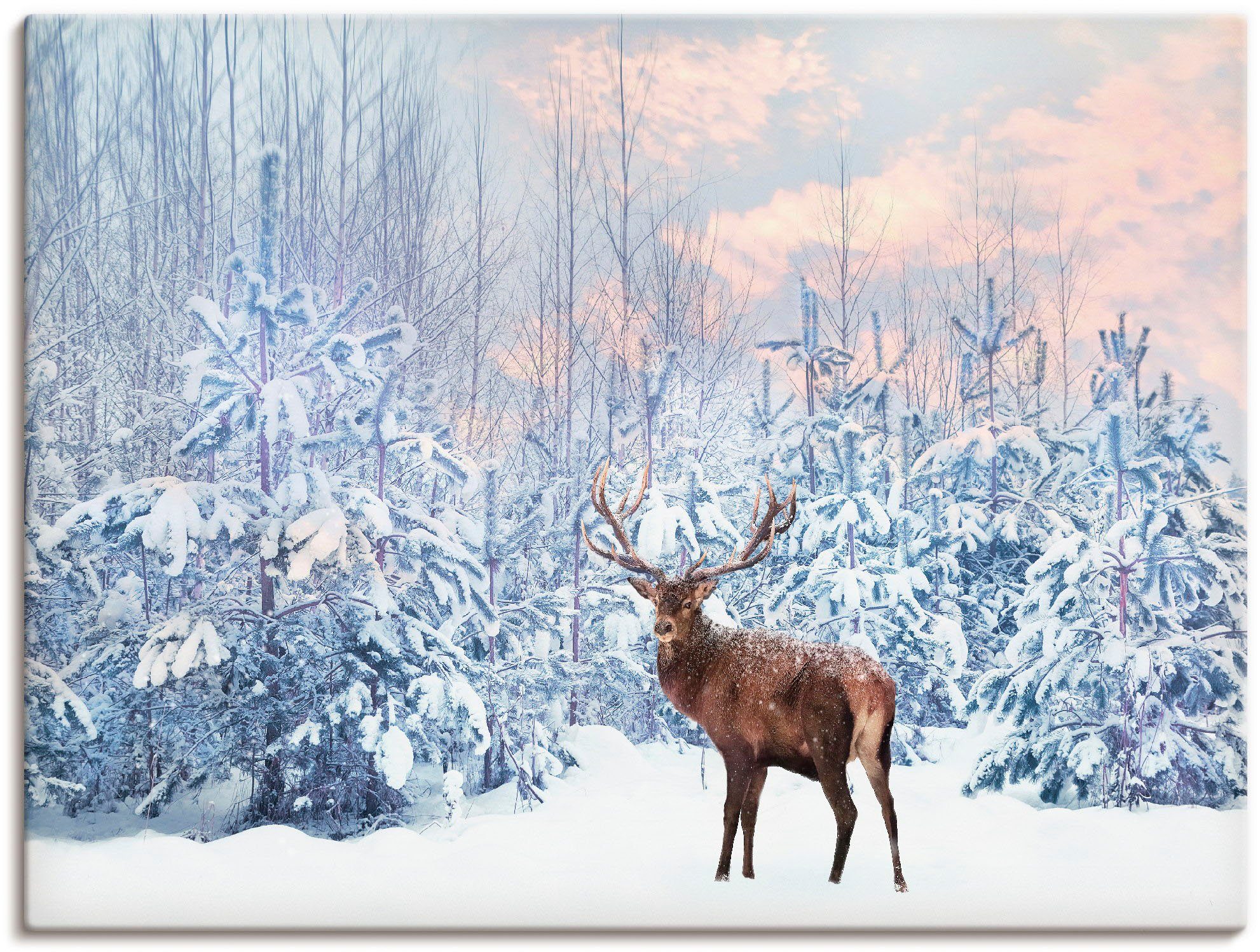 Artland Wandbild »Hirsch im Winterwald«, Hirschbilder (1 Stück), in vielen Größen & Produktarten - Alubild / Outdoorbild für den Außenbereich, Leinwandbild, Poster, Wandaufkleber / Wandtattoo auch für Badezimmer geeignet-Otto