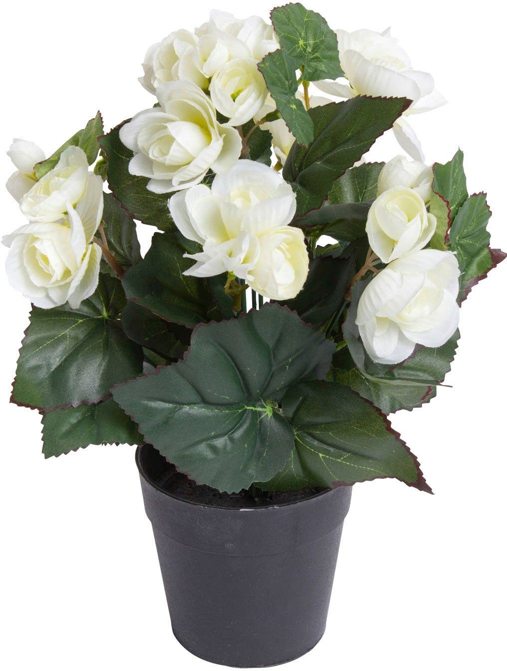 Kunstblume Begonienbusch mit 7 Stielen, Botanic-Haus, Höhe 26 cm