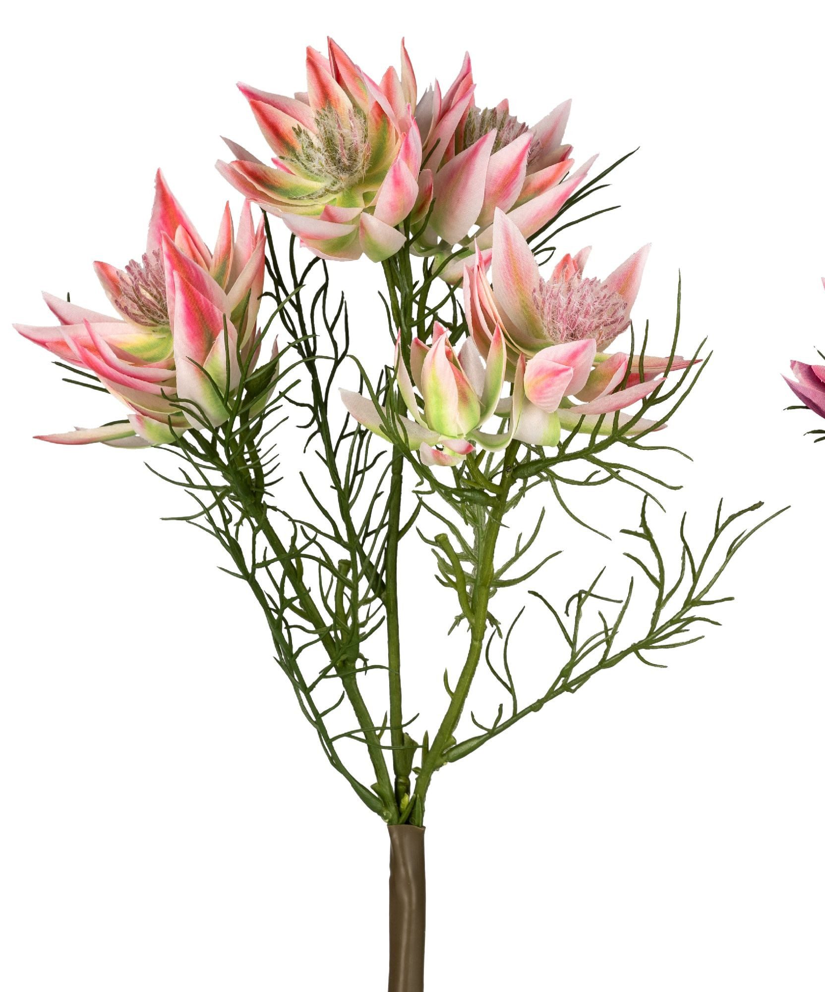 Kunstblume Frühlingszeit, formano, Höhe 34 cm, Höhe: 34cm, Farbe: Rosa, Motiv: Distel